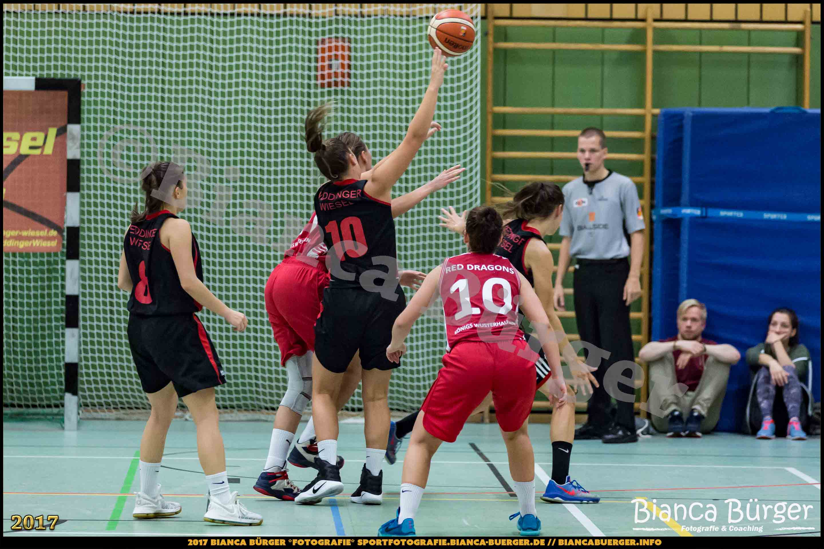 1. RLN Weddinger Wiesel 1 vs WSG Königs Wusterhausen 1 (Basketball)