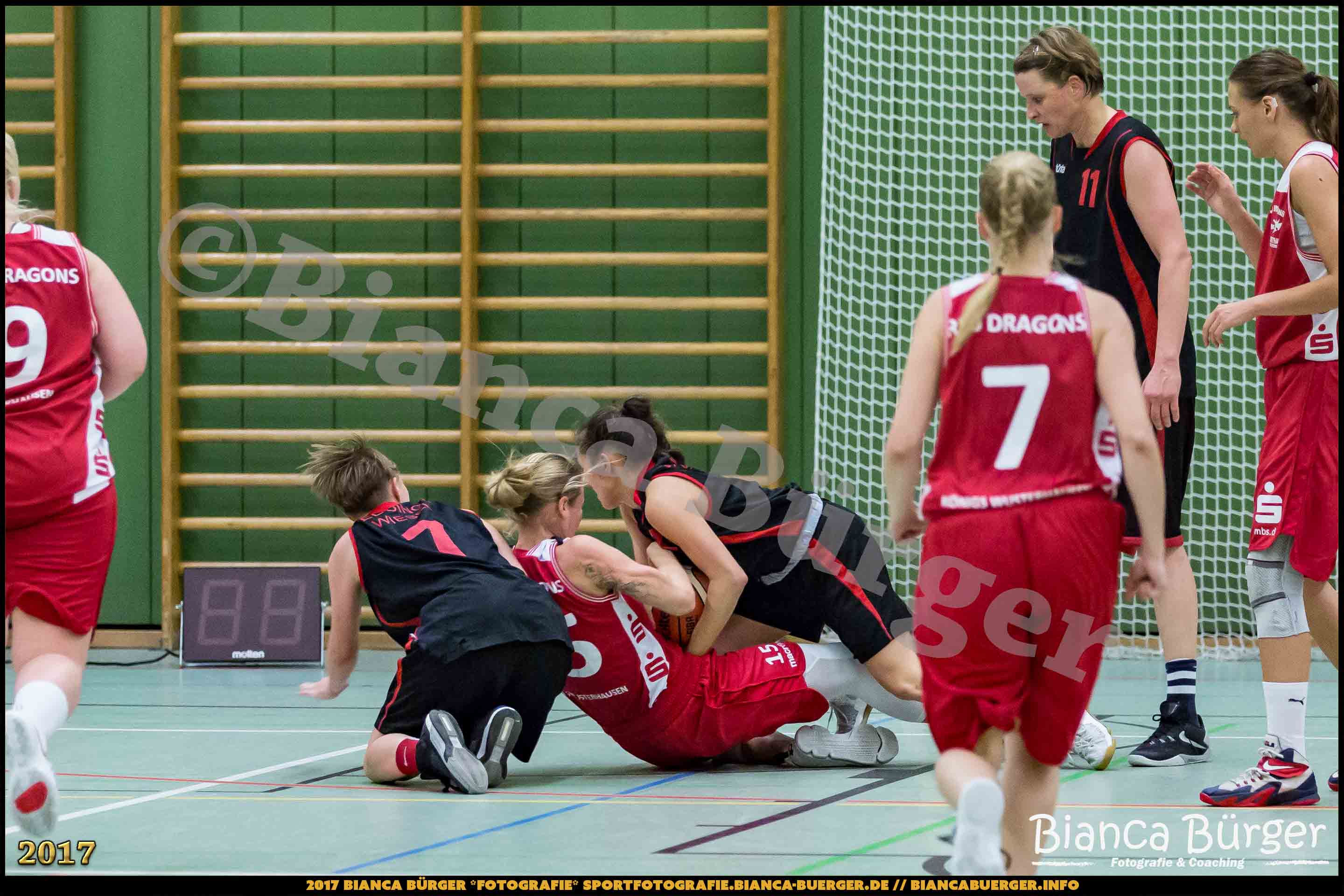1. RLN Weddinger Wiesel 1 vs WSG Königs Wusterhausen 1 (Basketball)