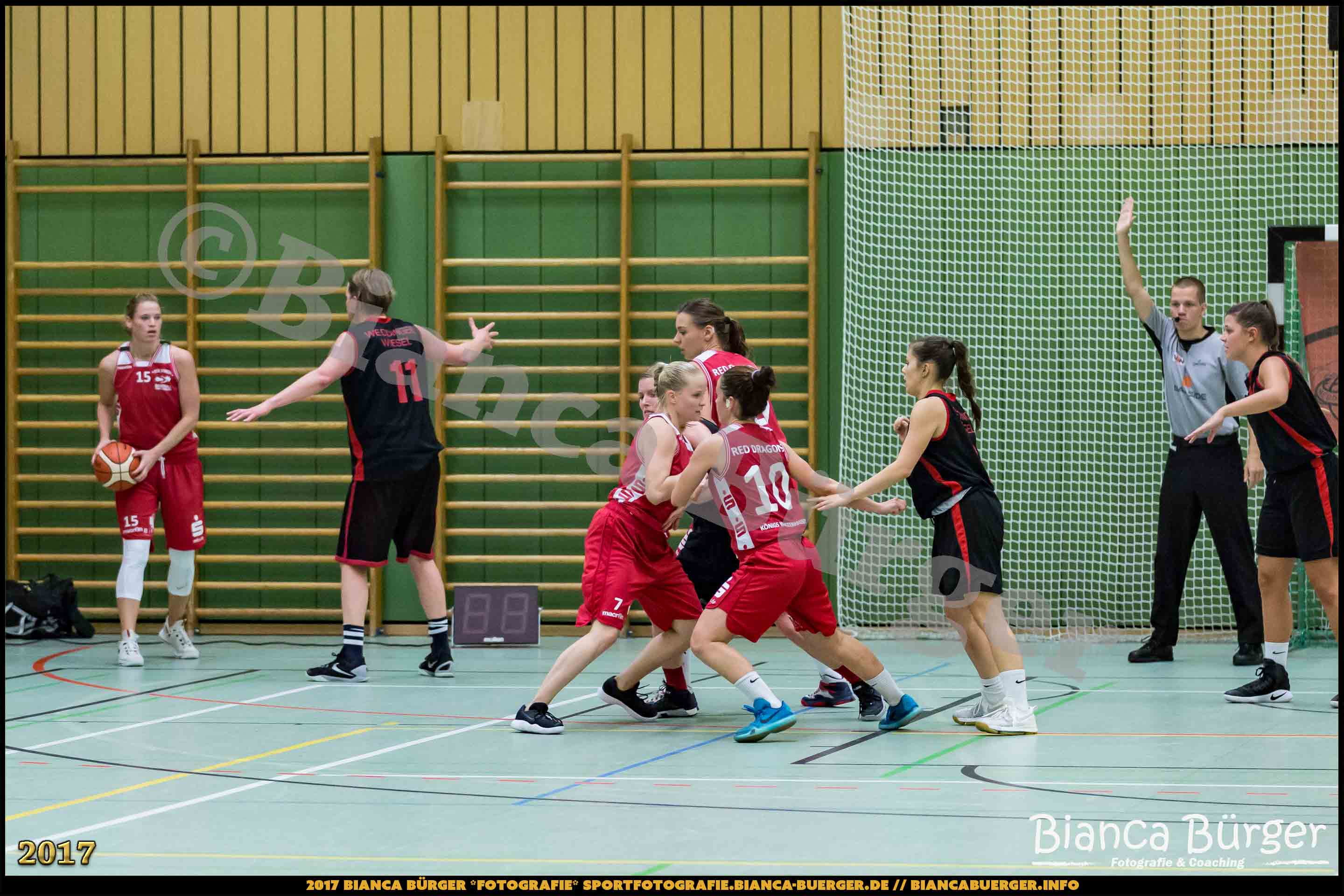 1. RLN Weddinger Wiesel 1 vs WSG Königs Wusterhausen 1 (Basketball)