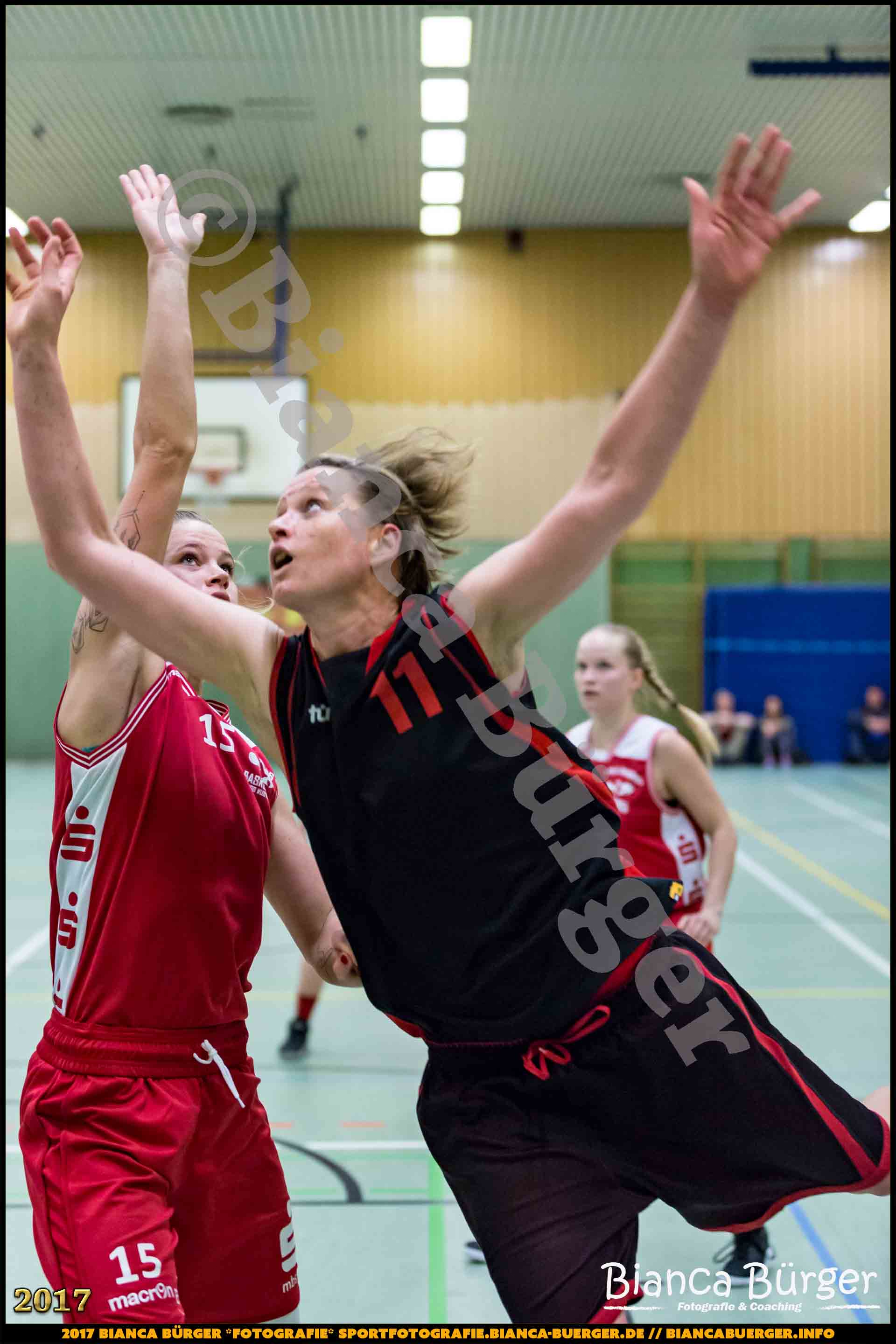 1. RLN Weddinger Wiesel 1 vs WSG Königs Wusterhausen 1 (Basketball)