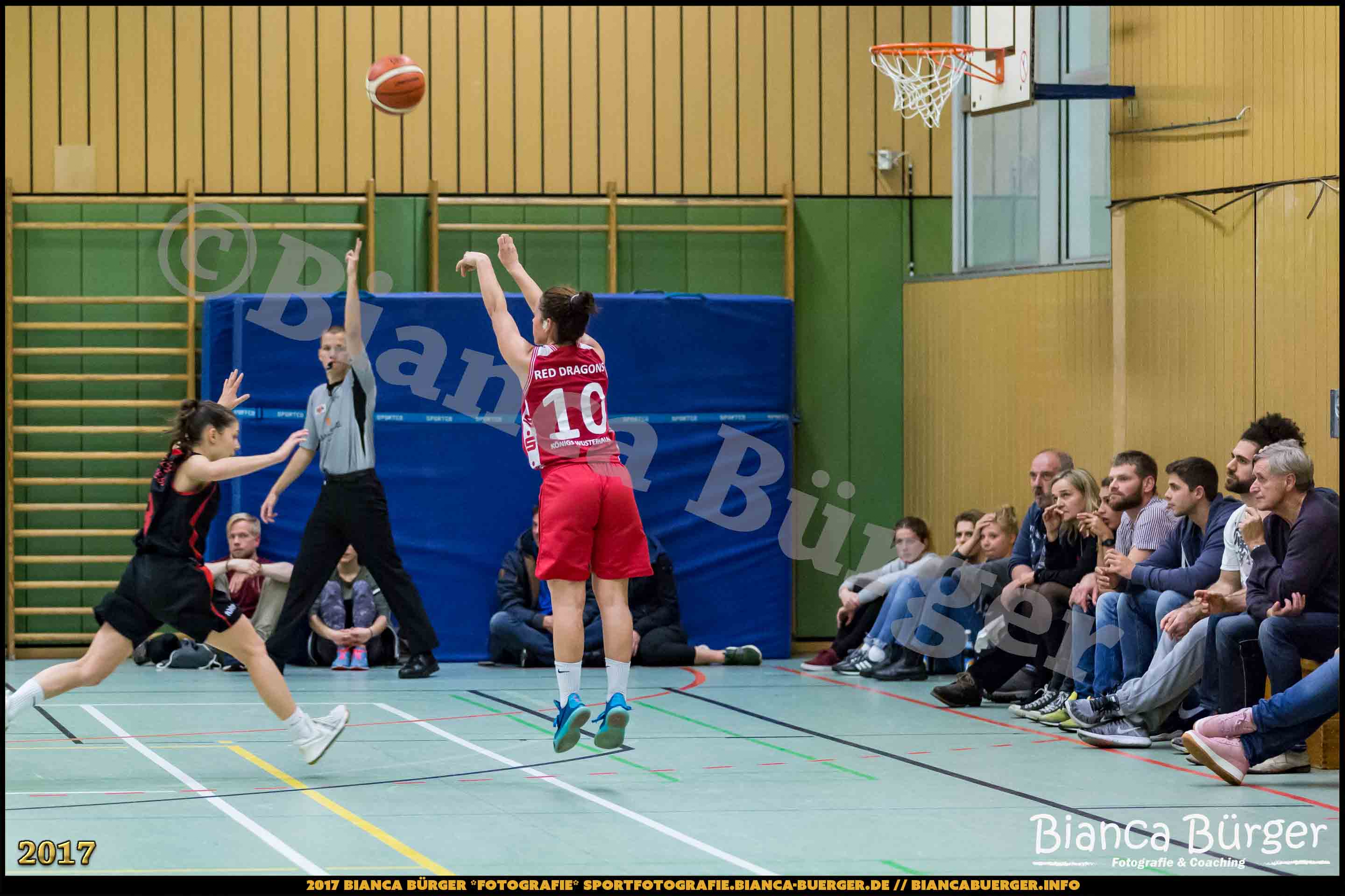 1. RLN Weddinger Wiesel 1 vs WSG Königs Wusterhausen 1 (Basketball)