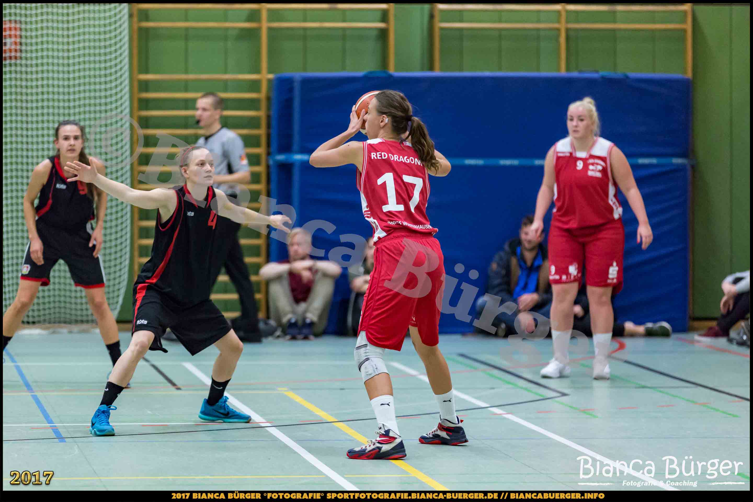 1. RLN Weddinger Wiesel 1 vs WSG Königs Wusterhausen 1 (Basketball)