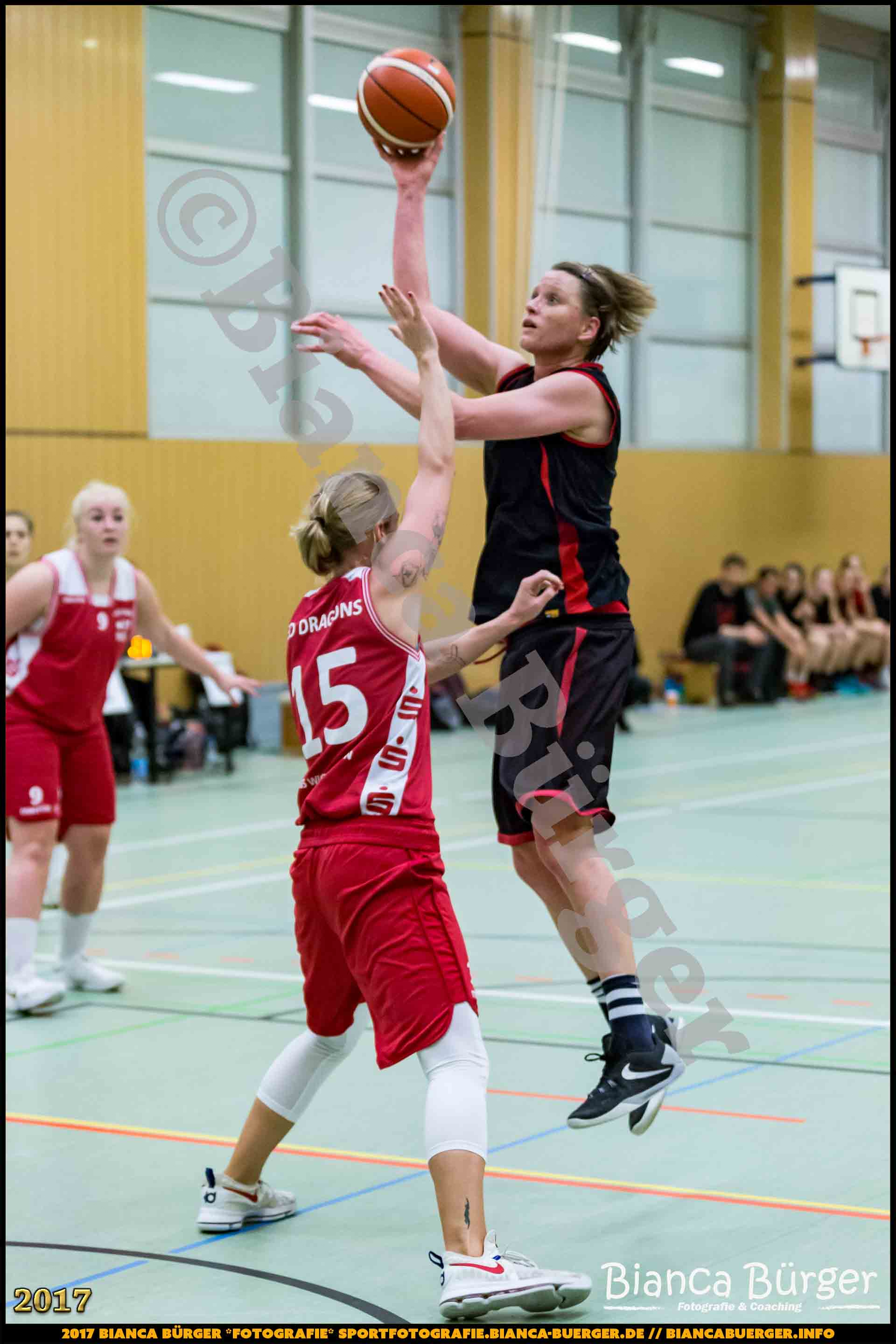 1. RLN Weddinger Wiesel 1 vs WSG Königs Wusterhausen 1 (Basketball)