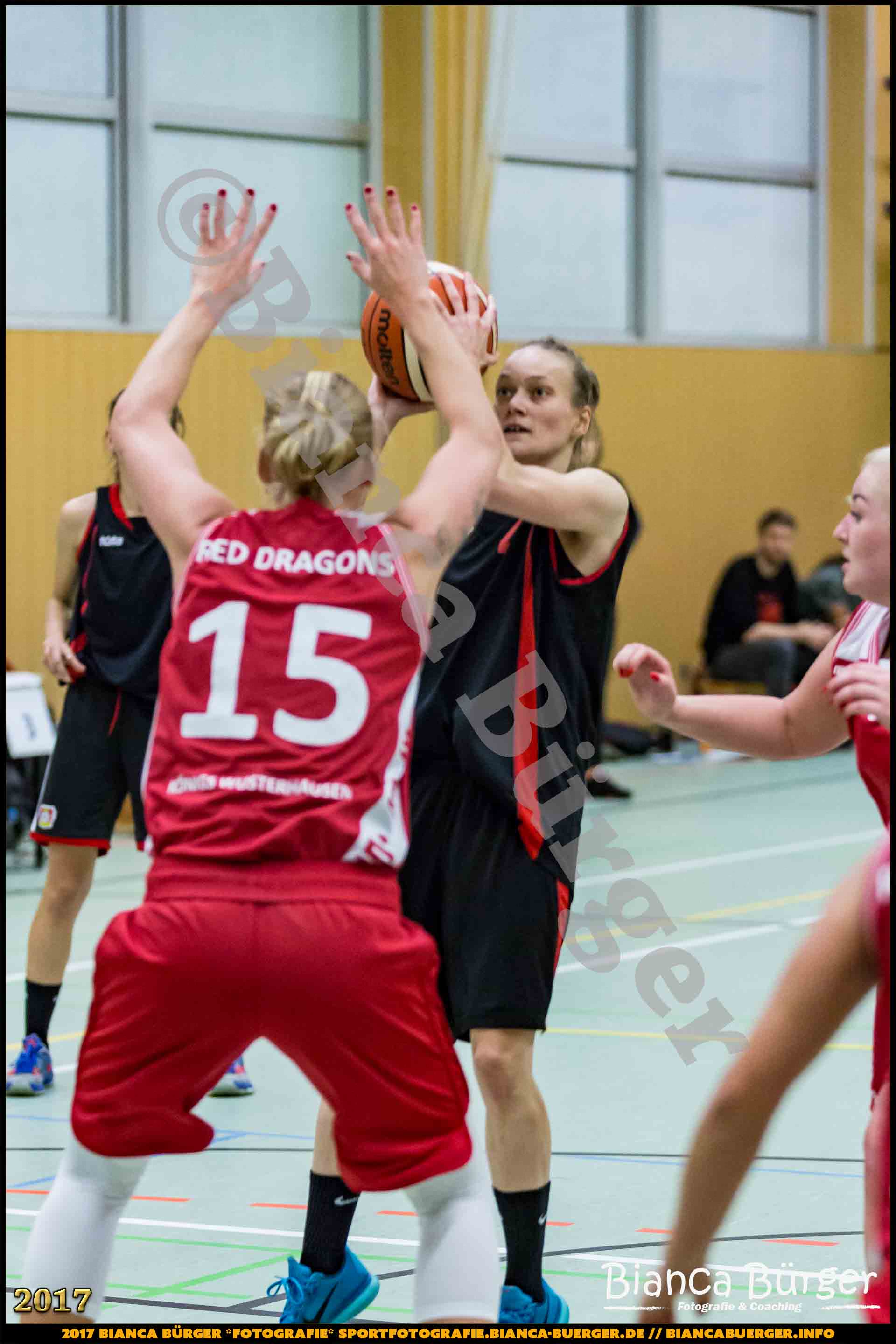 1. RLN Weddinger Wiesel 1 vs WSG Königs Wusterhausen 1 (Basketball)