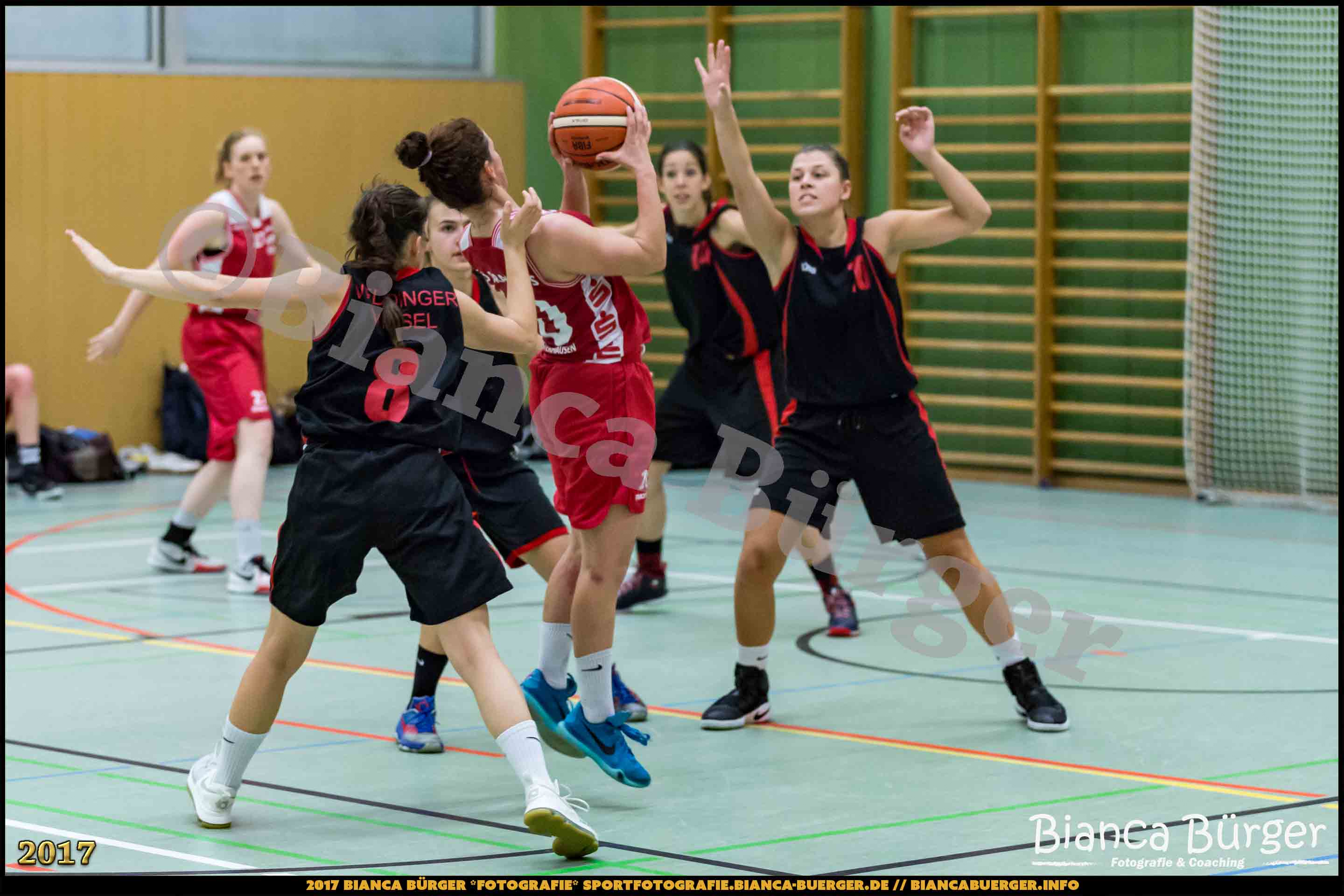 1. RLN Weddinger Wiesel 1 vs WSG Königs Wusterhausen 1 (Basketball)