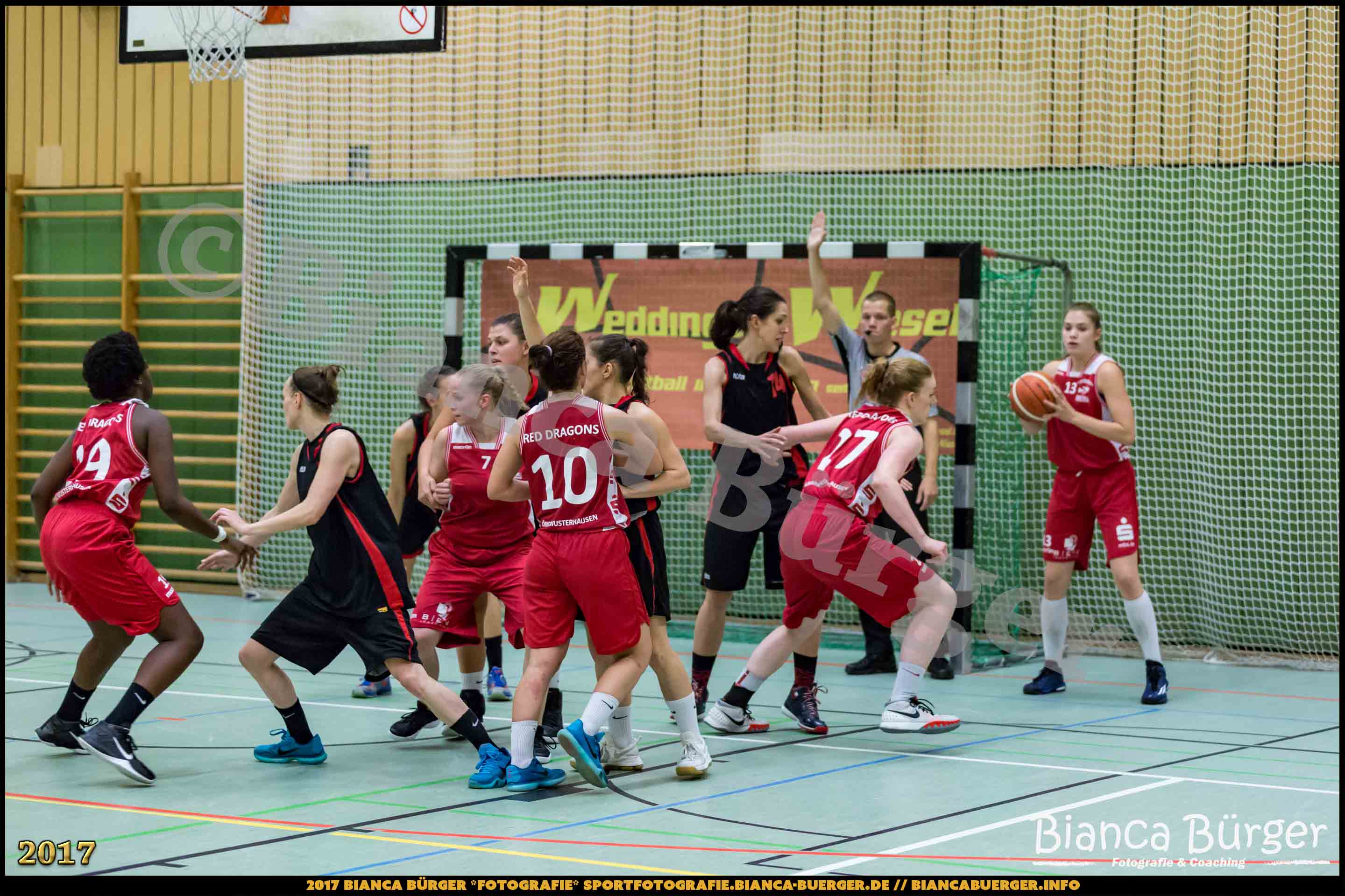 1. RLN Weddinger Wiesel 1 vs WSG Königs Wusterhausen 1 (Basketball)