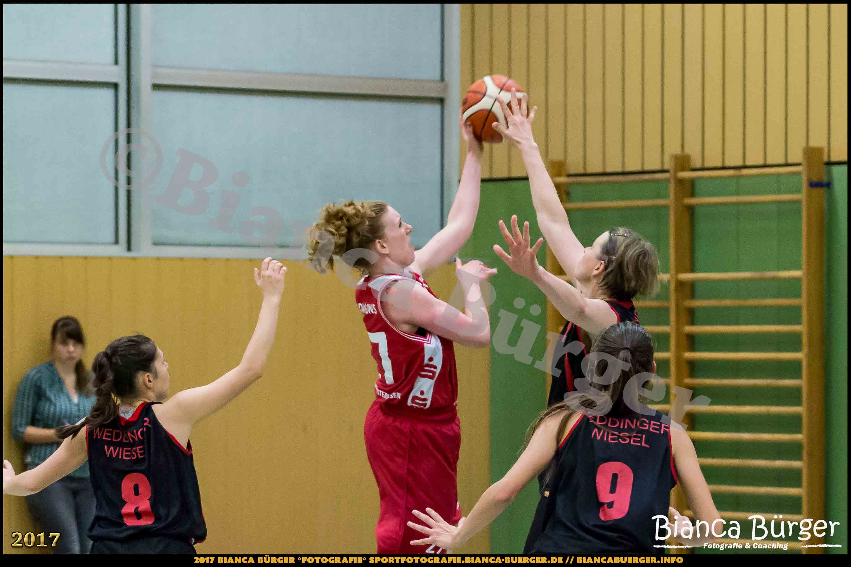 1. RLN Weddinger Wiesel 1 vs WSG Königs Wusterhausen 1 (Basketball)