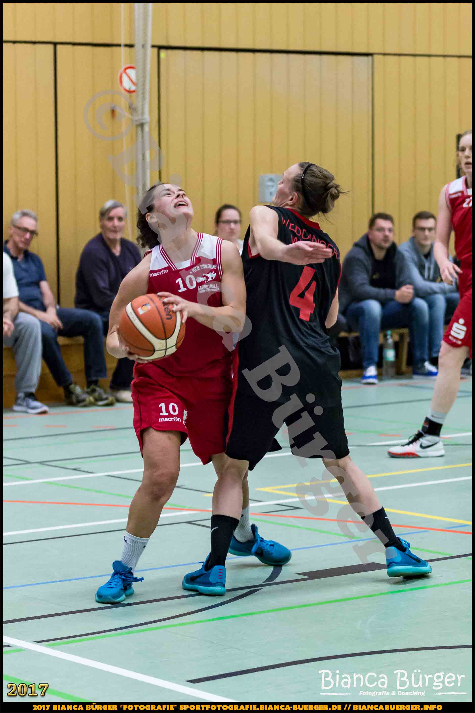 1. RLN Weddinger Wiesel 1 vs WSG Königs Wusterhausen 1 (Basketball)