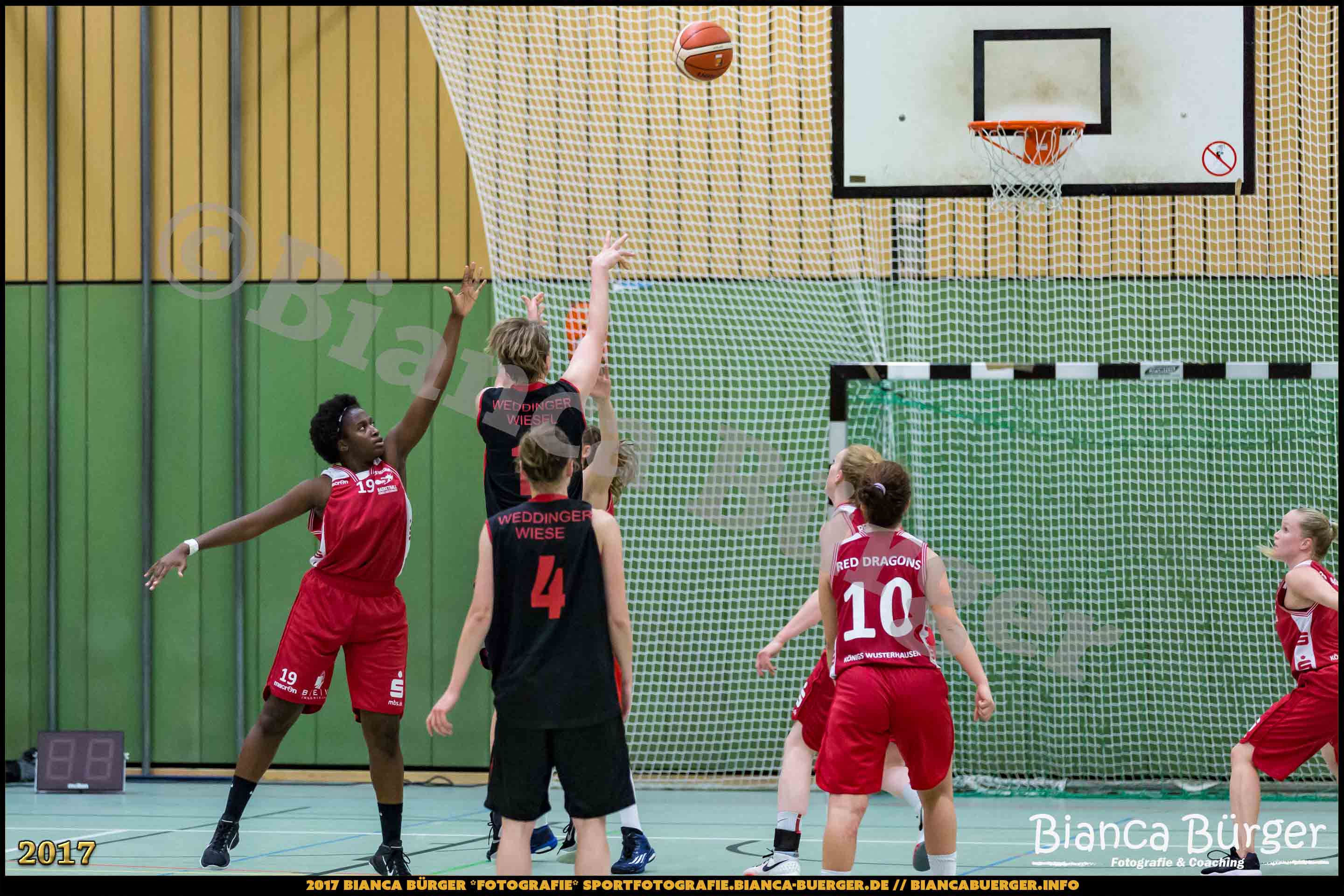 1. RLN Weddinger Wiesel 1 vs WSG Königs Wusterhausen 1 (Basketball)