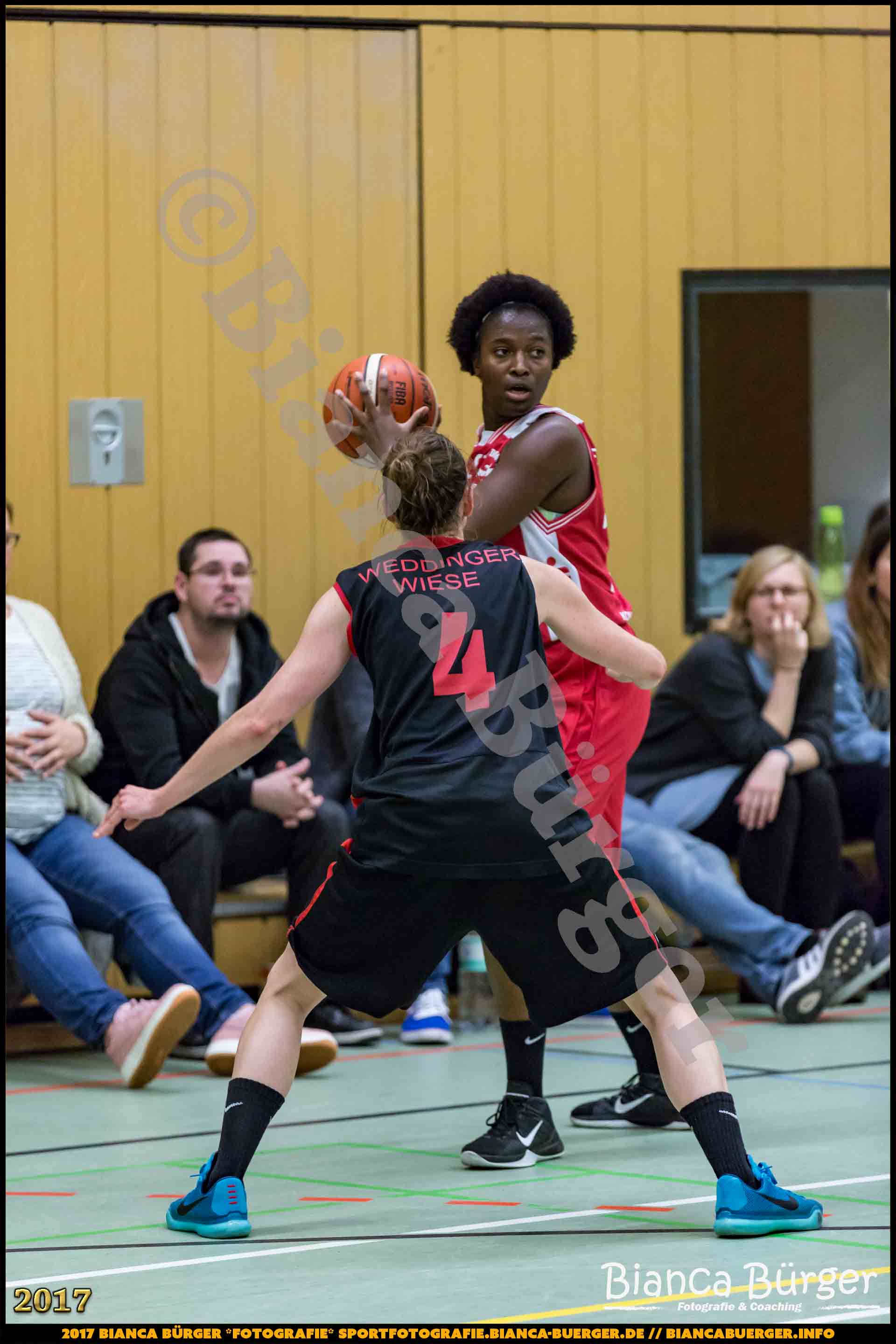 1. RLN Weddinger Wiesel 1 vs WSG Königs Wusterhausen 1 (Basketball)