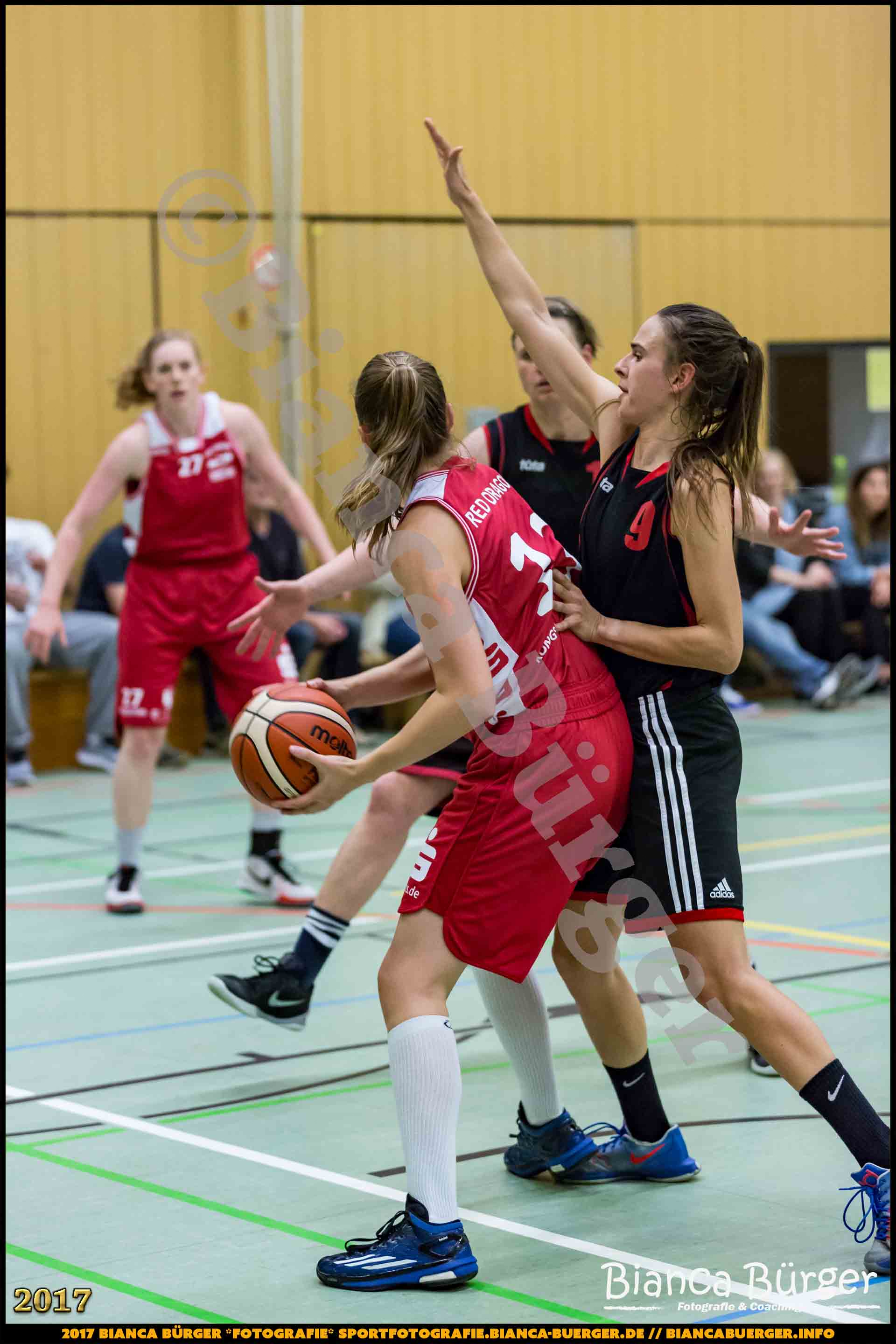 1. RLN Weddinger Wiesel 1 vs WSG Königs Wusterhausen 1 (Basketball)