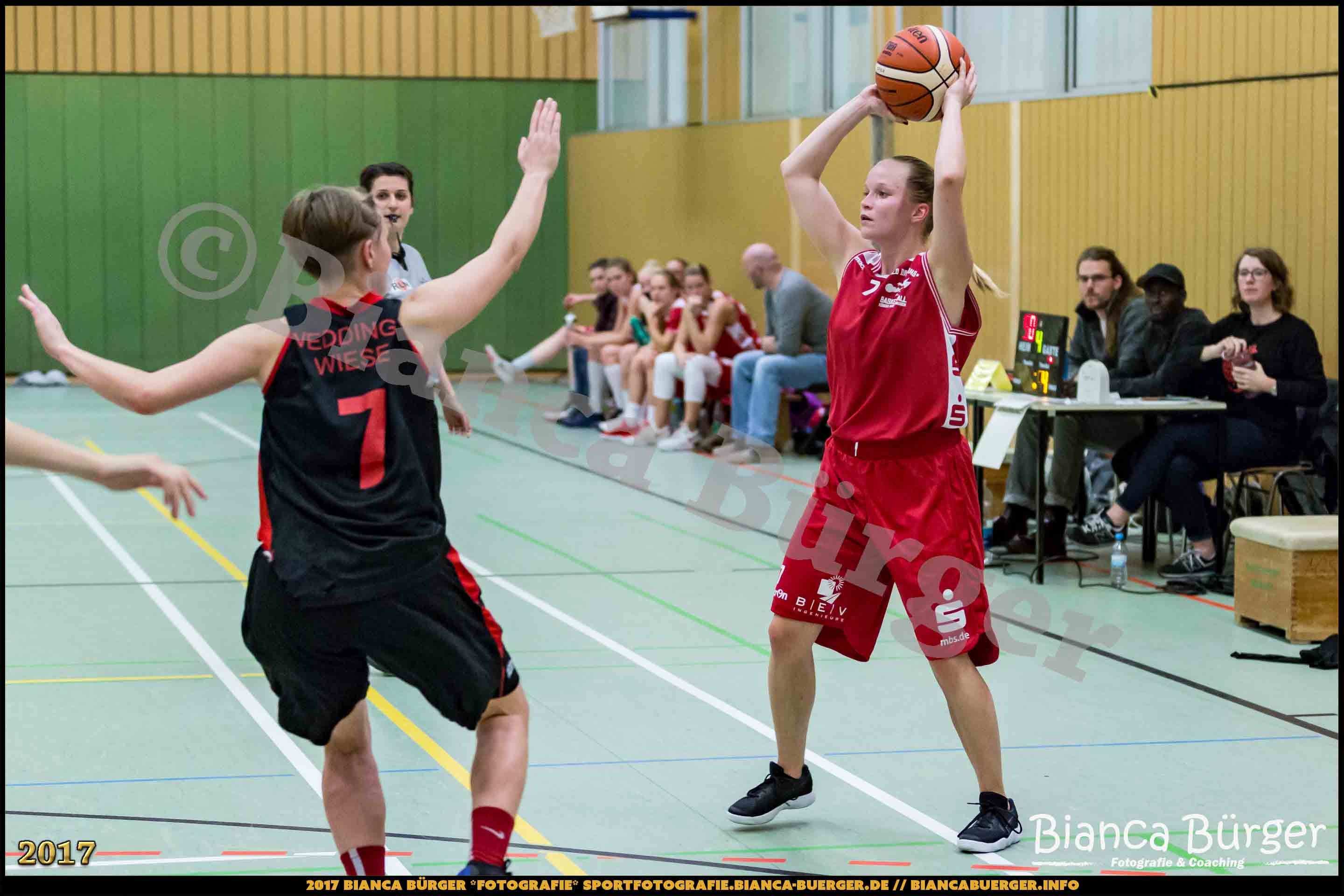 1. RLN Weddinger Wiesel 1 vs WSG Königs Wusterhausen 1 (Basketball)