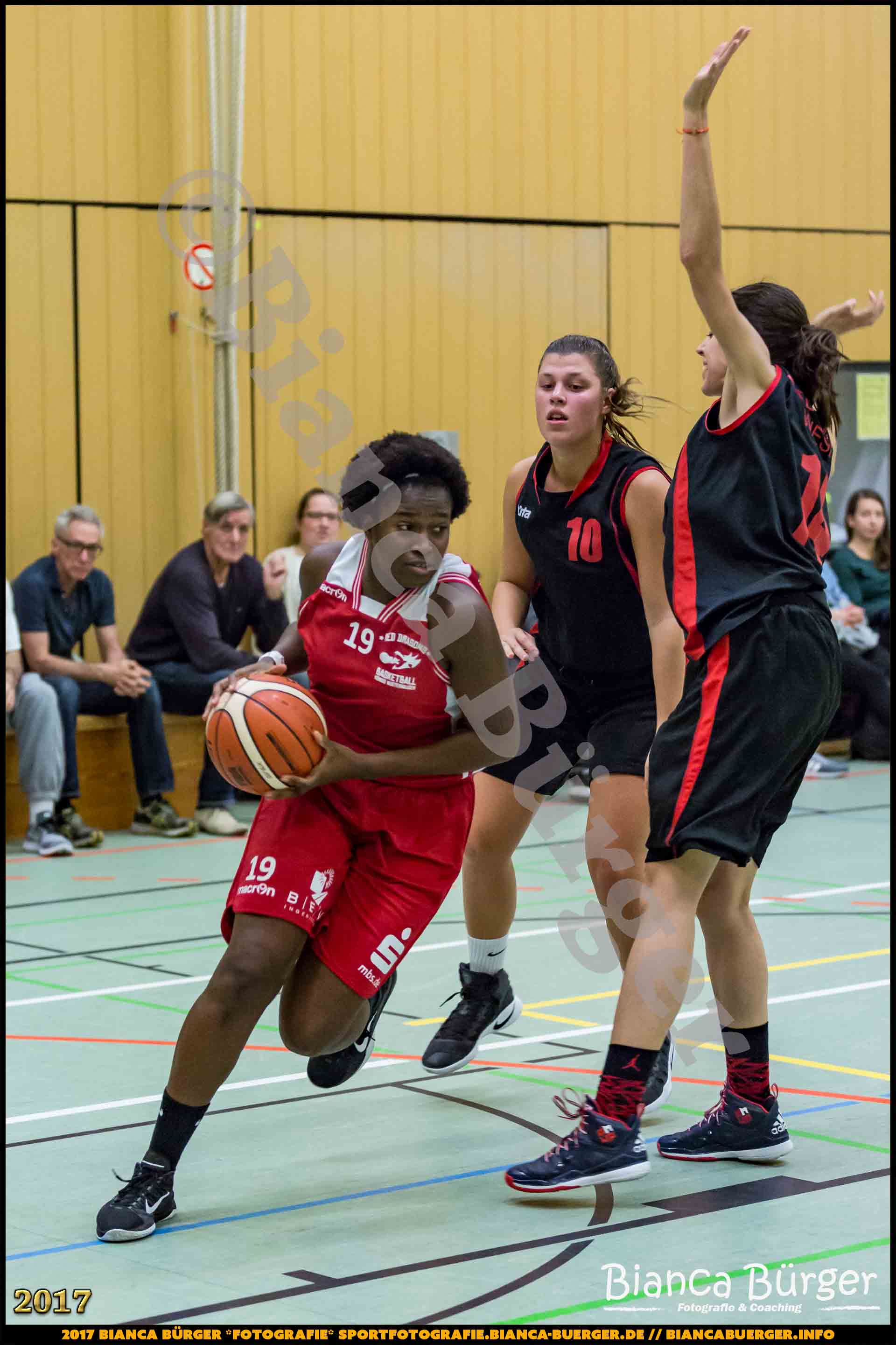 1. RLN Weddinger Wiesel 1 vs WSG Königs Wusterhausen 1 (Basketball)