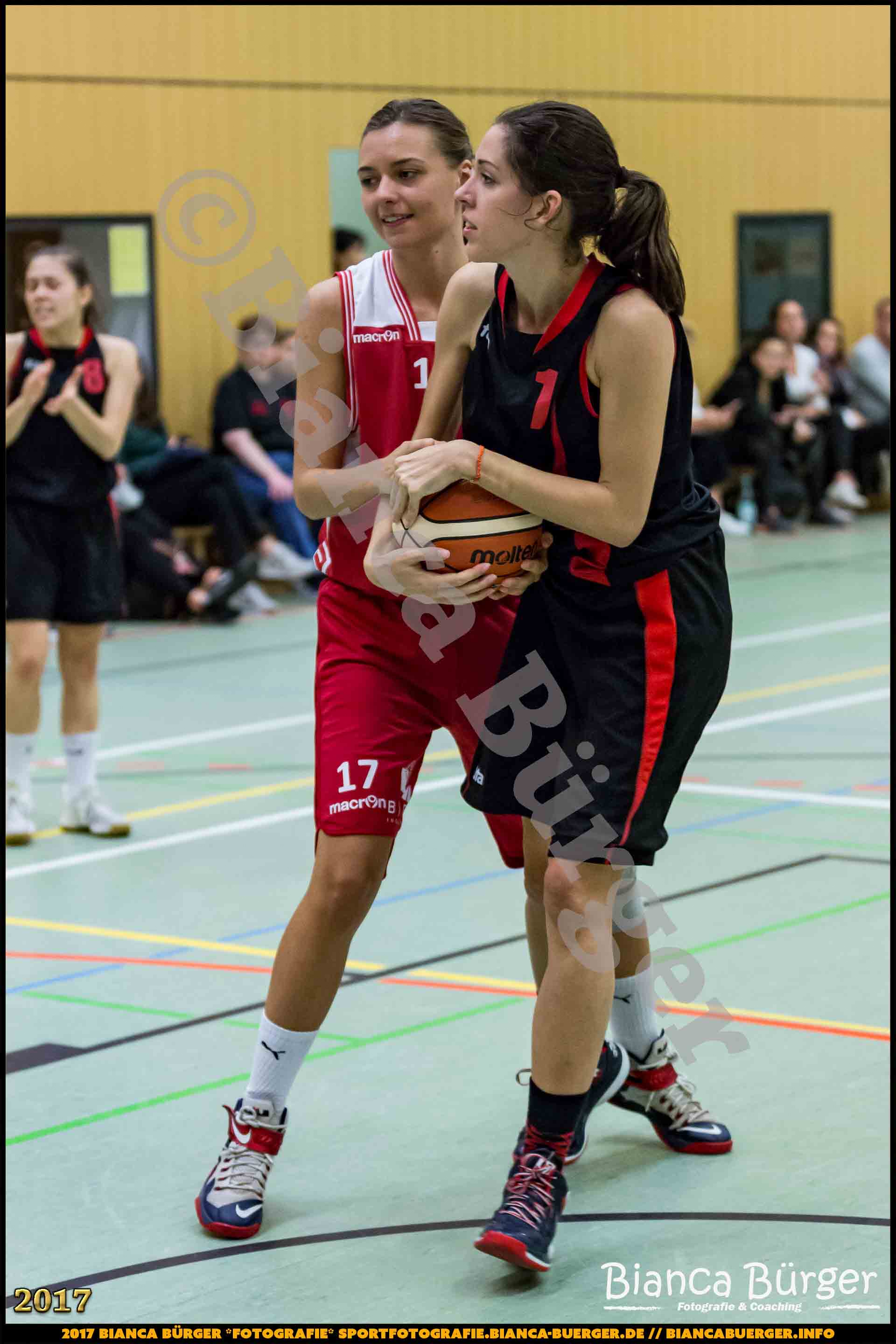 1. RLN Weddinger Wiesel 1 vs WSG Königs Wusterhausen 1 (Basketball)