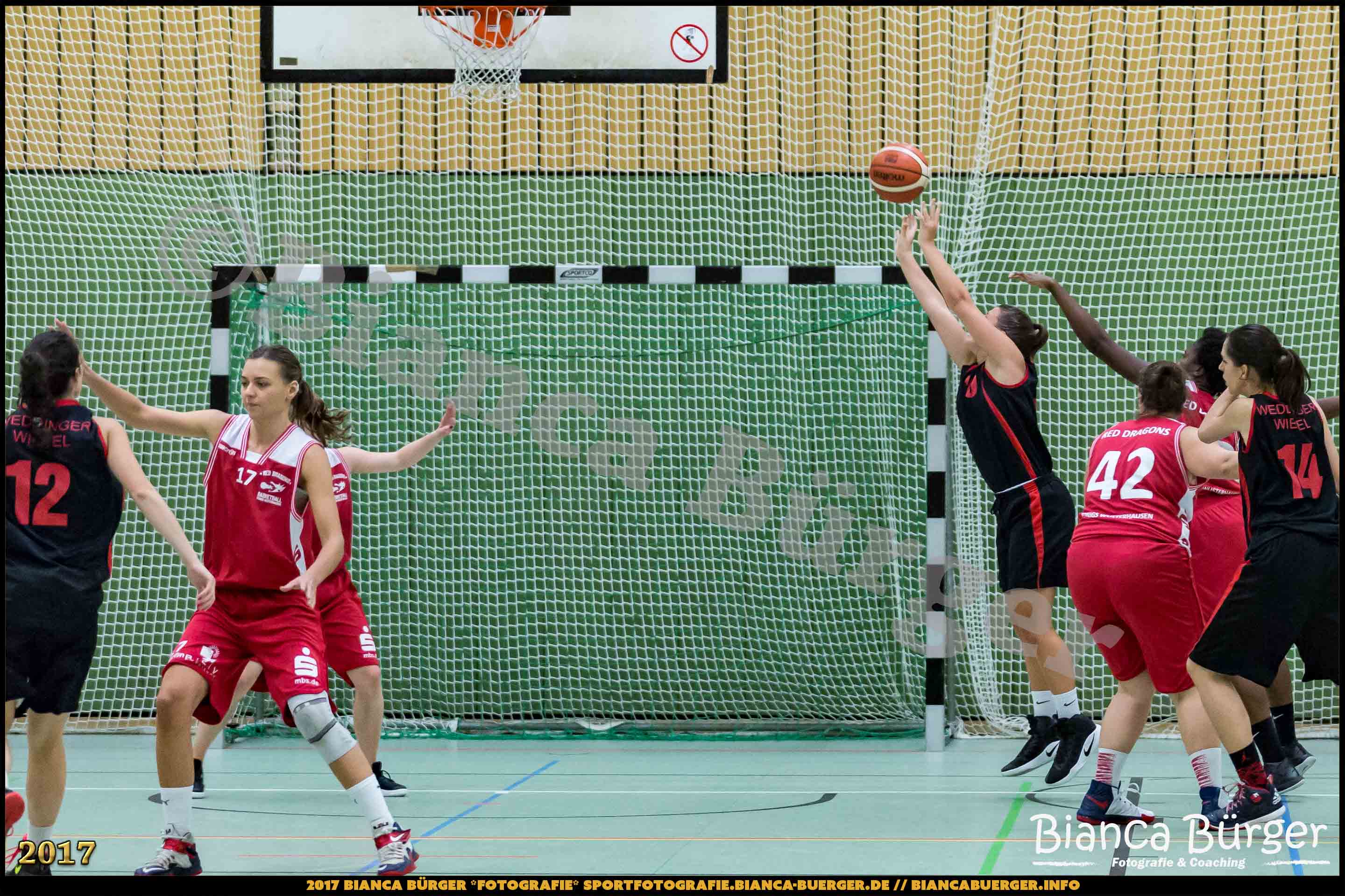 1. RLN Weddinger Wiesel 1 vs WSG Königs Wusterhausen 1 (Basketball)