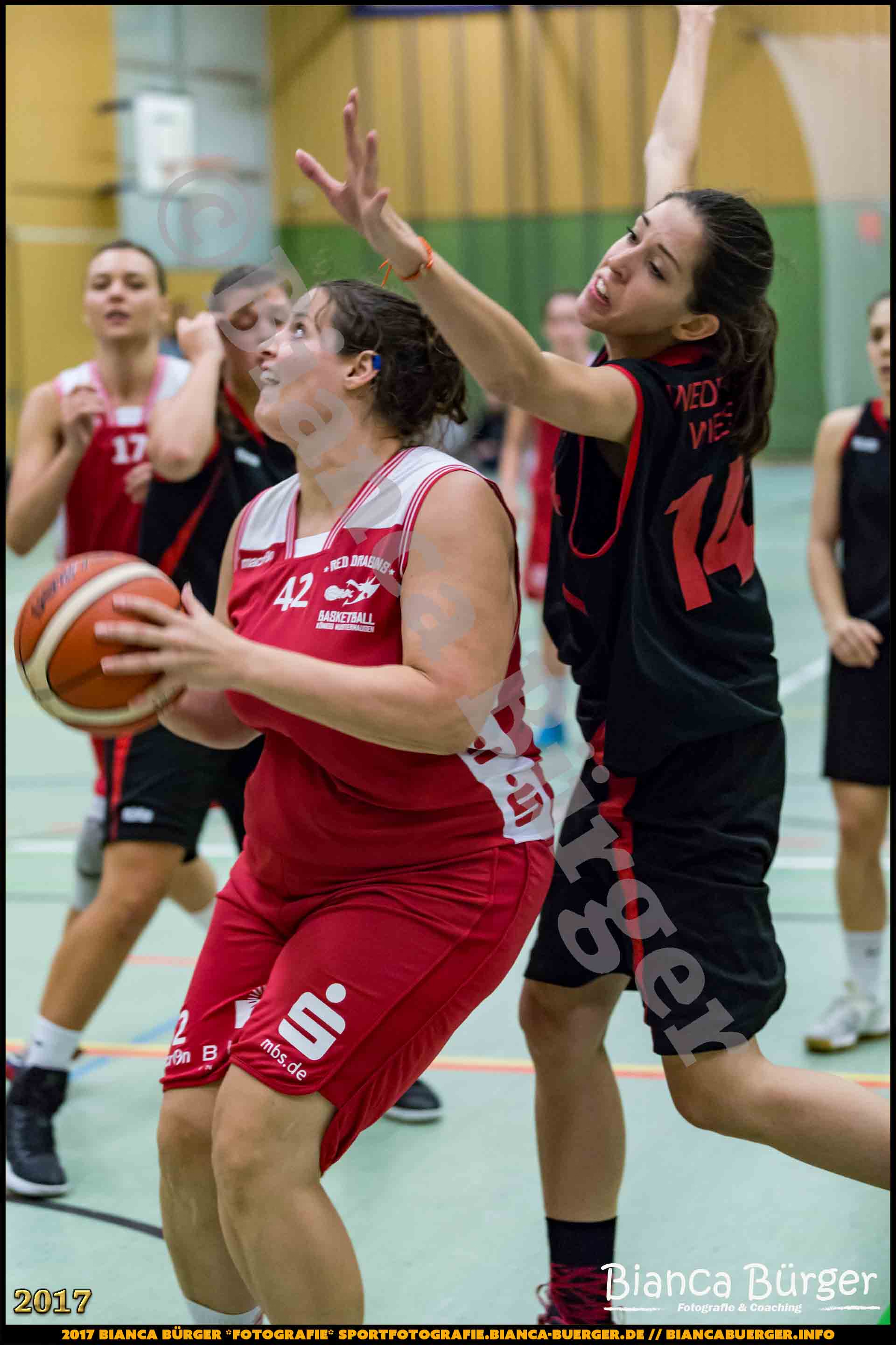 1. RLN Weddinger Wiesel 1 vs WSG Königs Wusterhausen 1 (Basketball)
