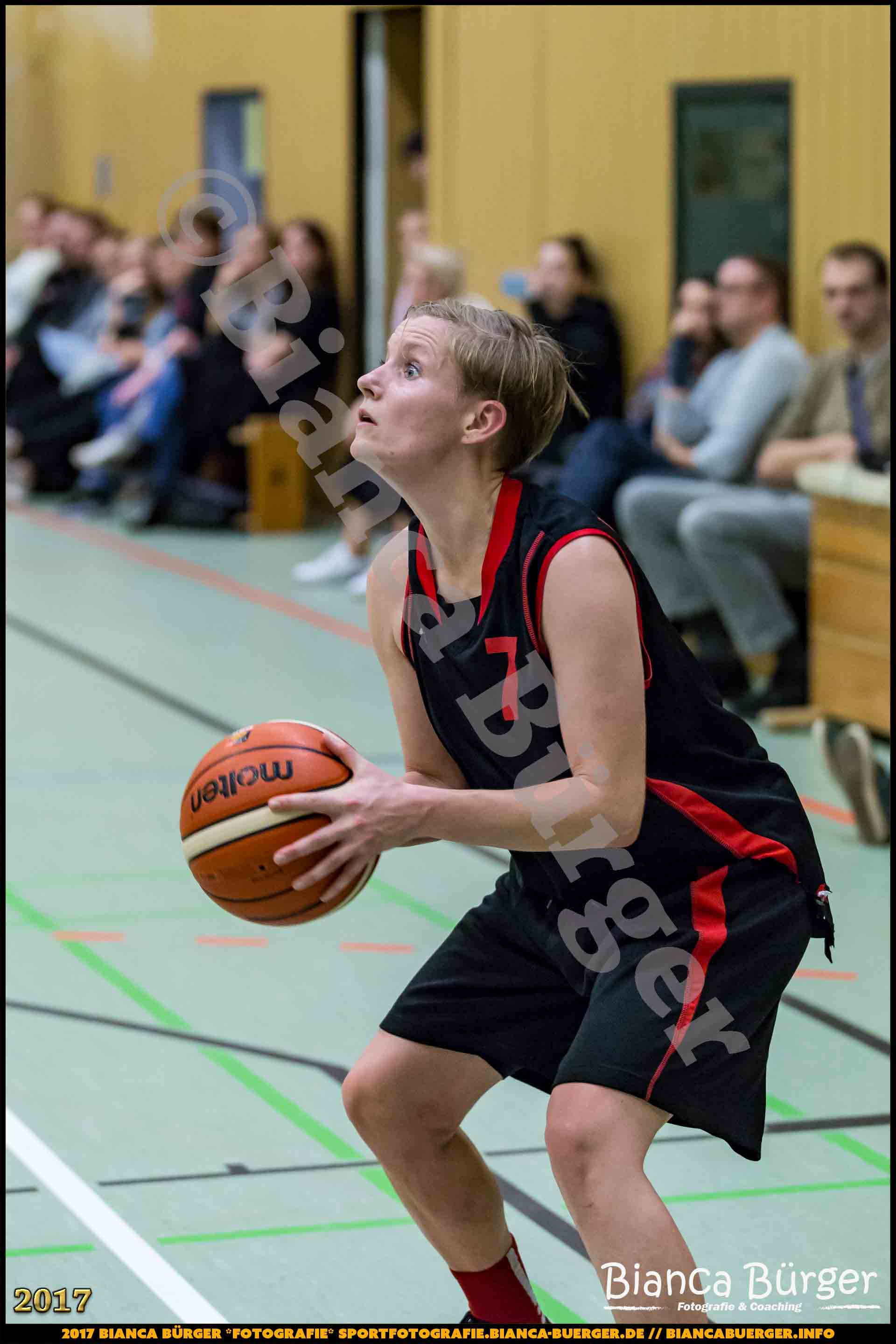 1. RLN Weddinger Wiesel 1 vs WSG Königs Wusterhausen 1 (Basketball)
