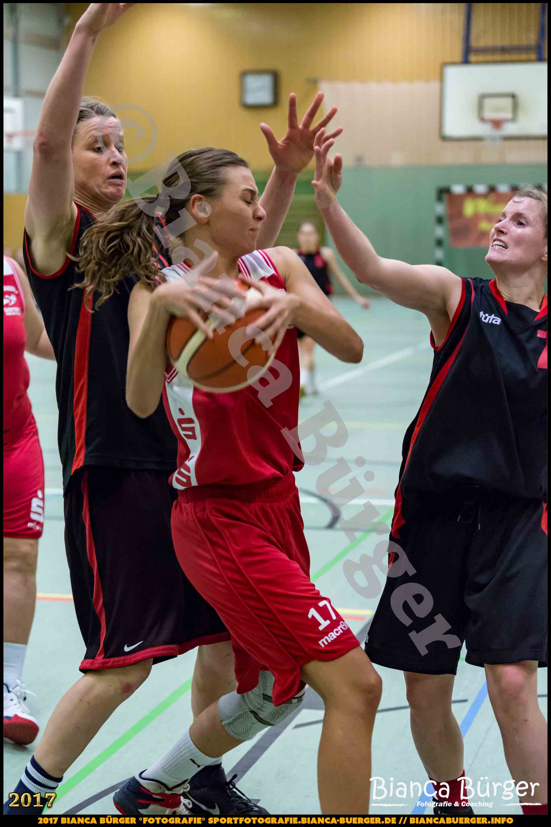 1. RLN Weddinger Wiesel 1 vs WSG Königs Wusterhausen 1 (Basketball)