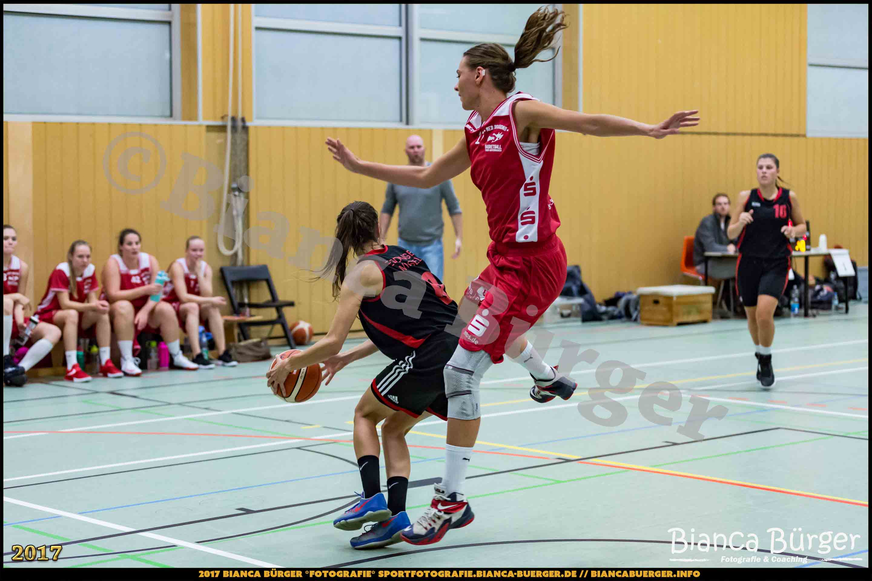 1. RLN Weddinger Wiesel 1 vs WSG Königs Wusterhausen 1 (Basketball)