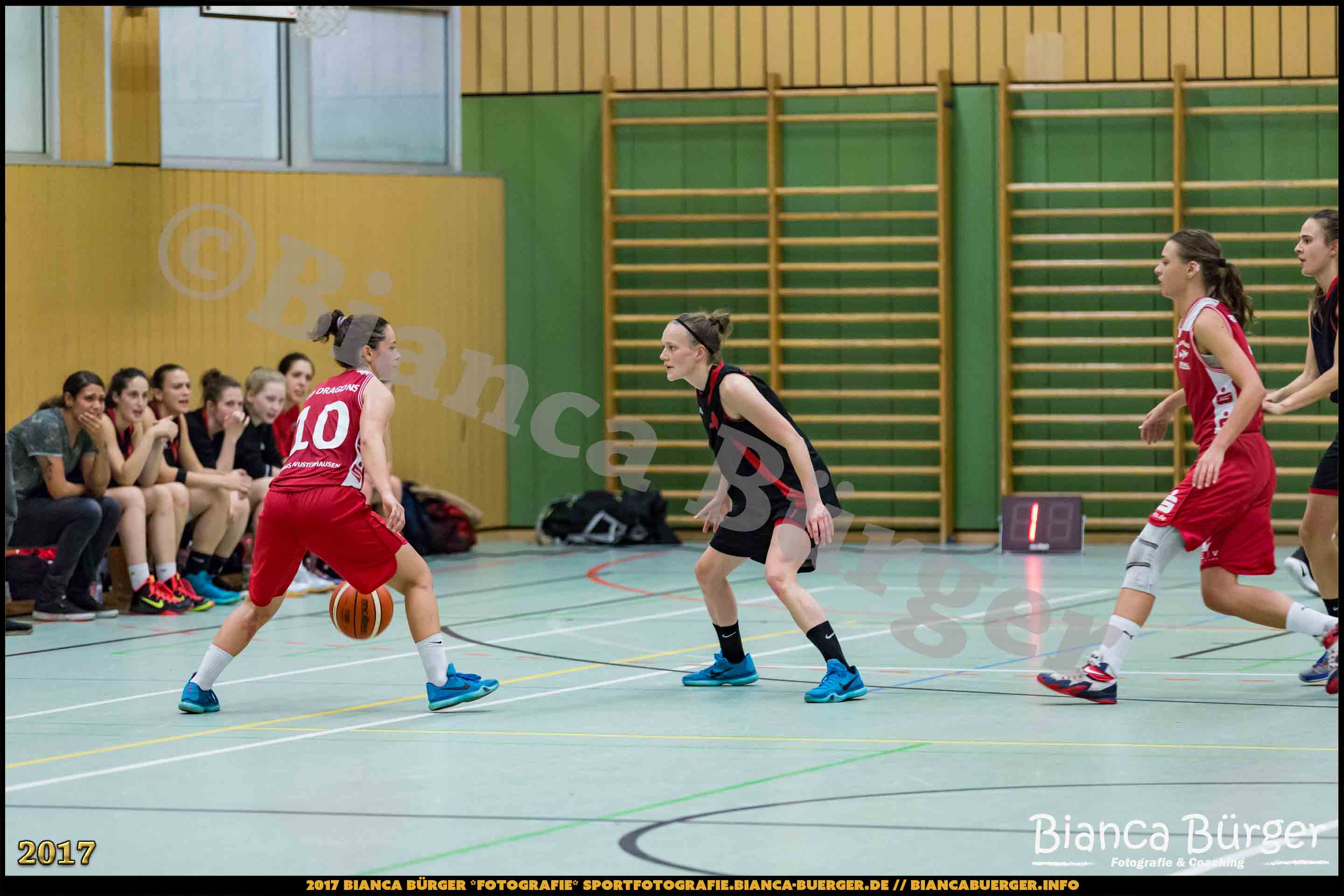 1. RLN Weddinger Wiesel 1 vs WSG Königs Wusterhausen 1 (Basketball)
