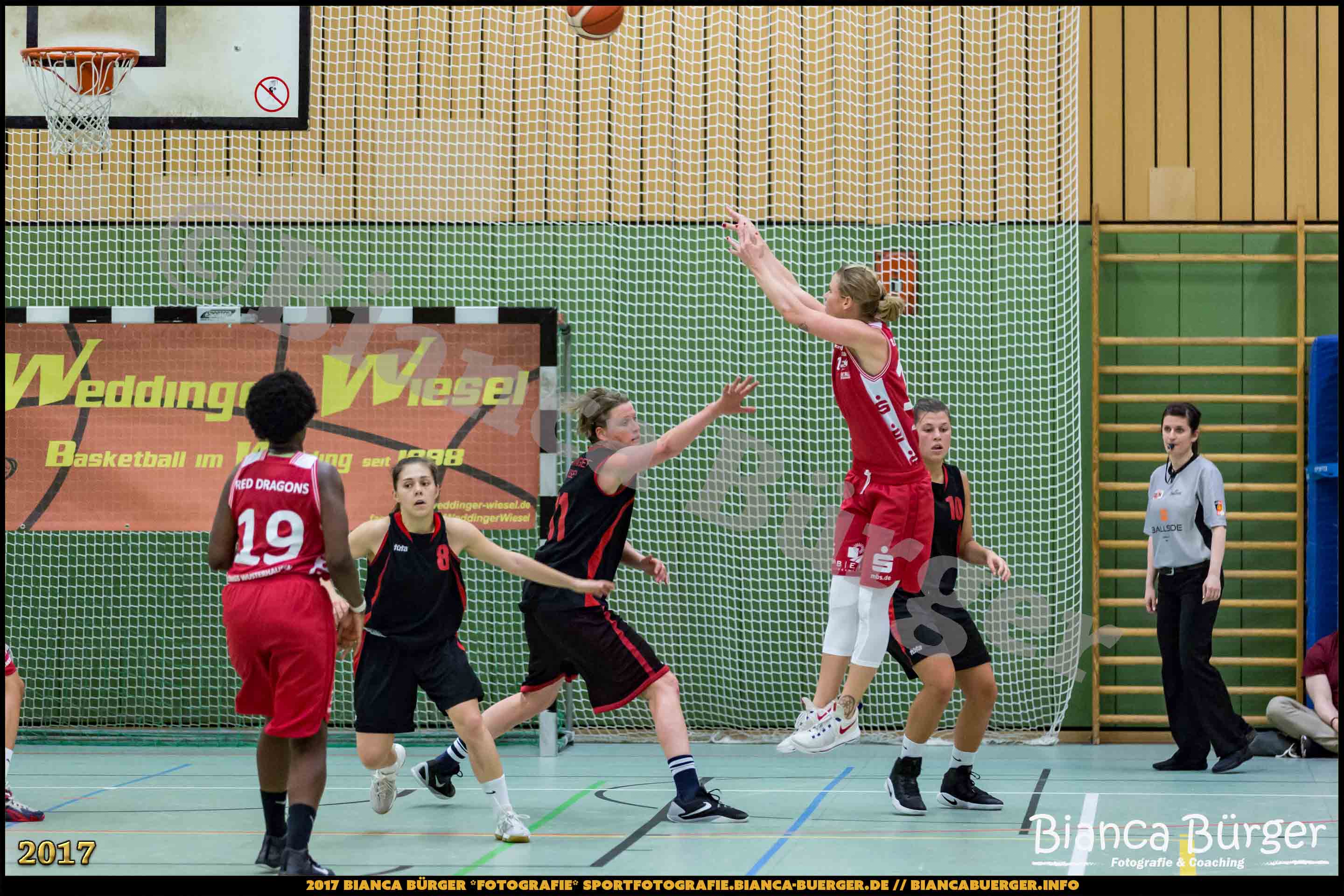 1. RLN Weddinger Wiesel 1 vs WSG Königs Wusterhausen 1 (Basketball)