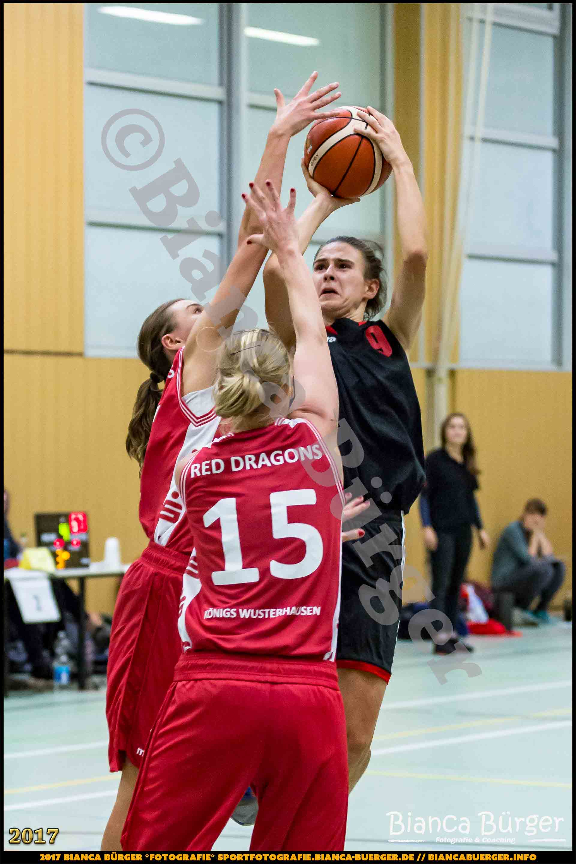 1. RLN Weddinger Wiesel 1 vs WSG Königs Wusterhausen 1 (Basketball)