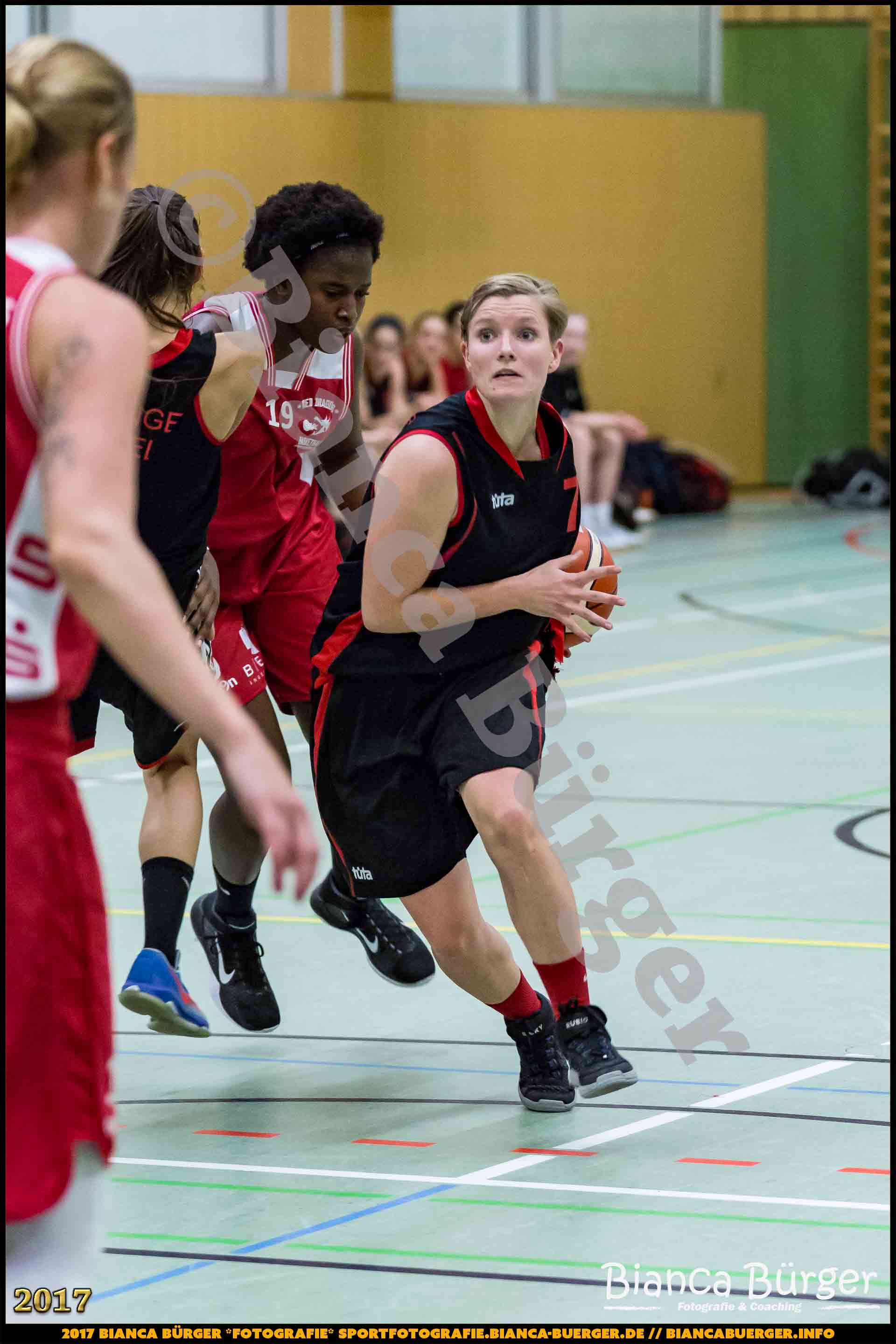 1. RLN Weddinger Wiesel 1 vs WSG Königs Wusterhausen 1 (Basketball)