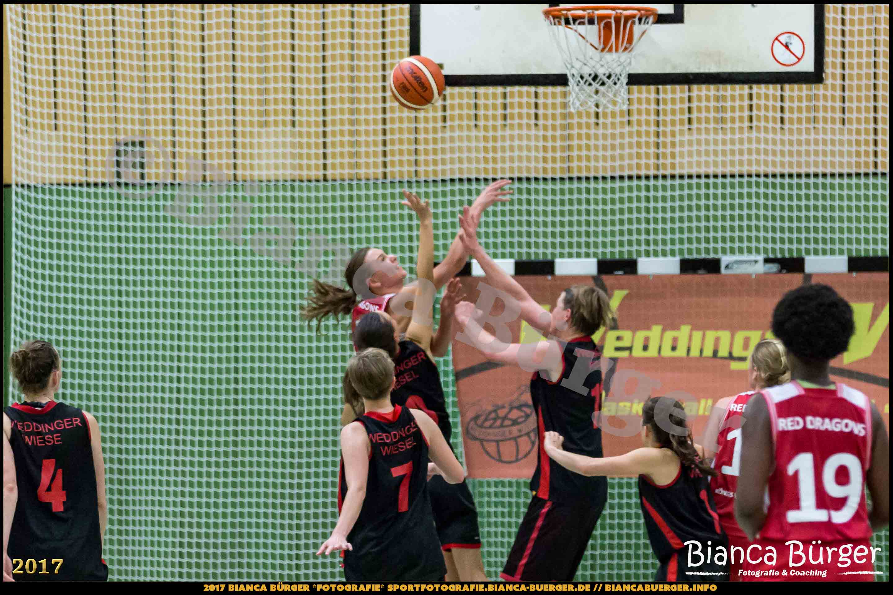 1. RLN Weddinger Wiesel 1 vs WSG Königs Wusterhausen 1 (Basketball)