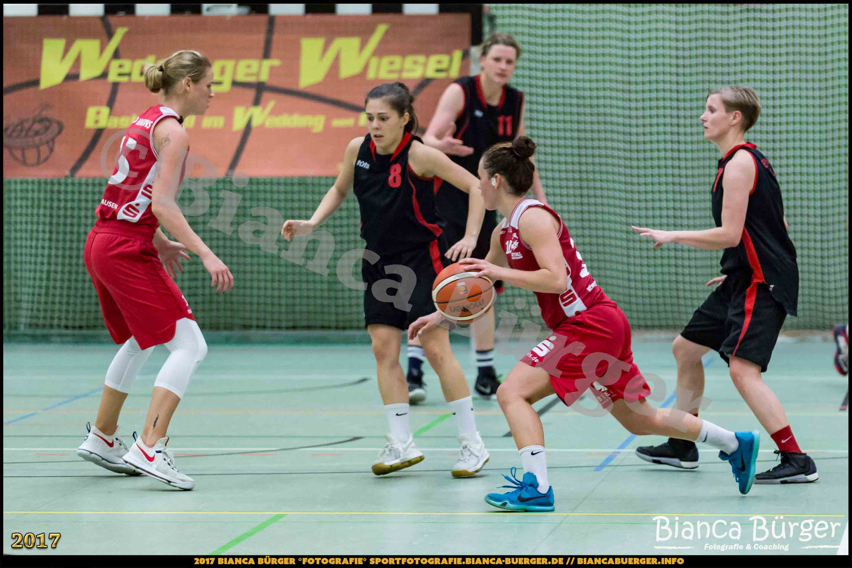 1. RLN Weddinger Wiesel 1 vs WSG Königs Wusterhausen 1 (Basketball)