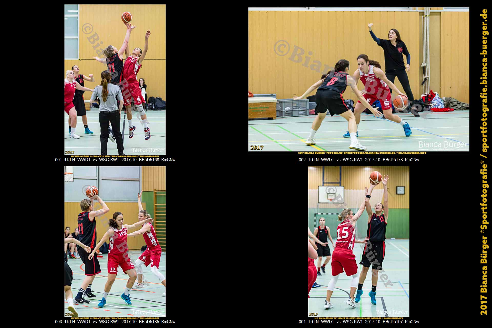 1. RLN Weddinger Wiesel 1 vs WSG Königs Wusterhausen 1 (Basketball)