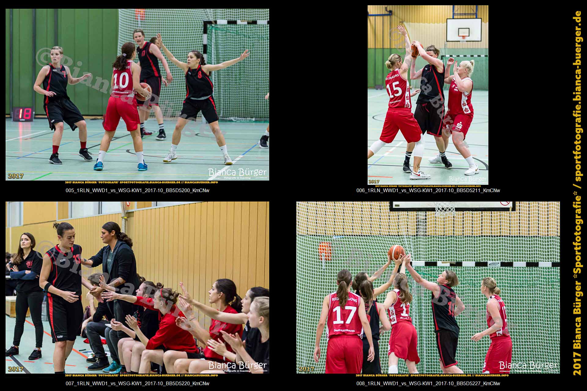 1. RLN Weddinger Wiesel 1 vs WSG Königs Wusterhausen 1 (Basketball)