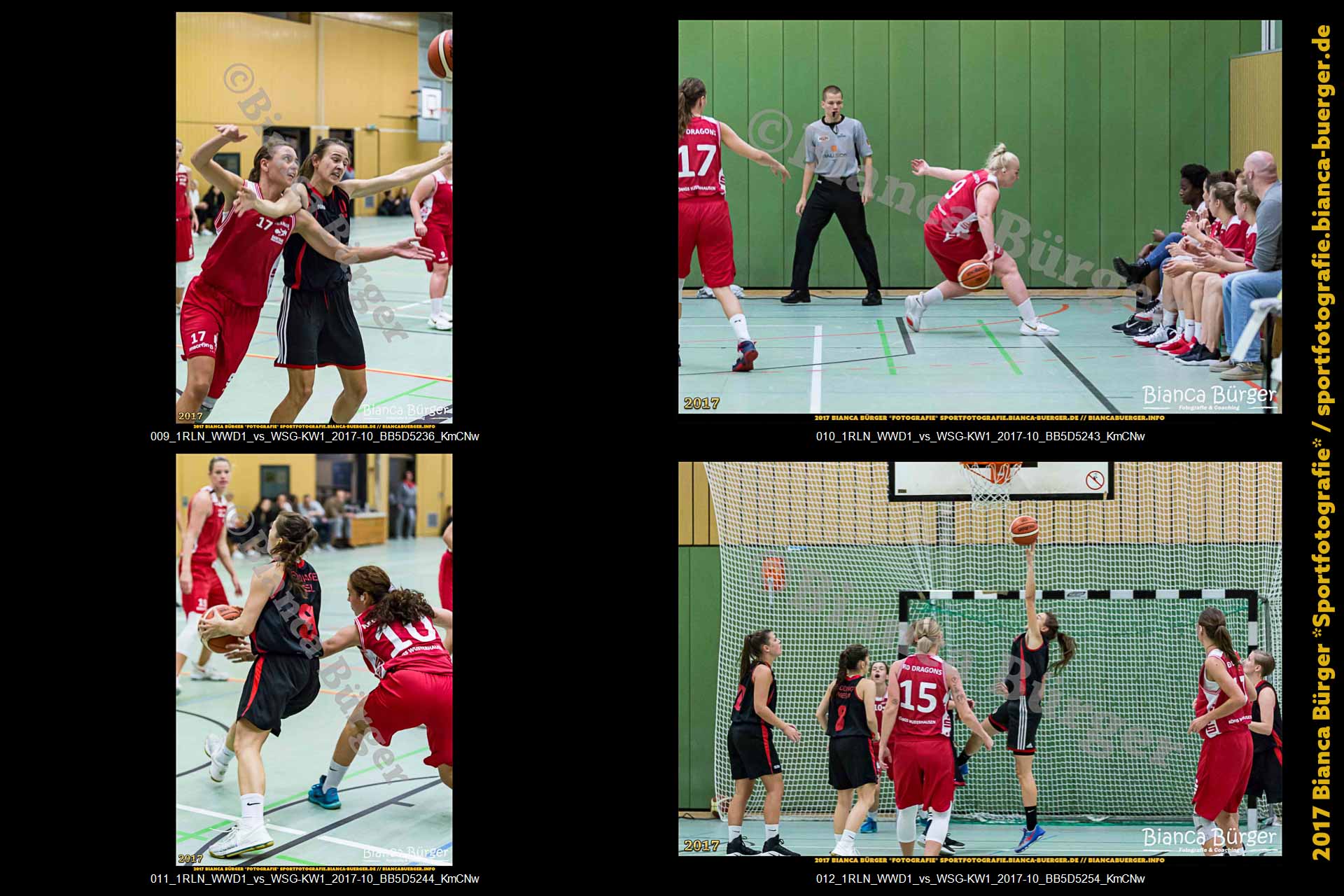 1. RLN Weddinger Wiesel 1 vs WSG Königs Wusterhausen 1 (Basketball)
