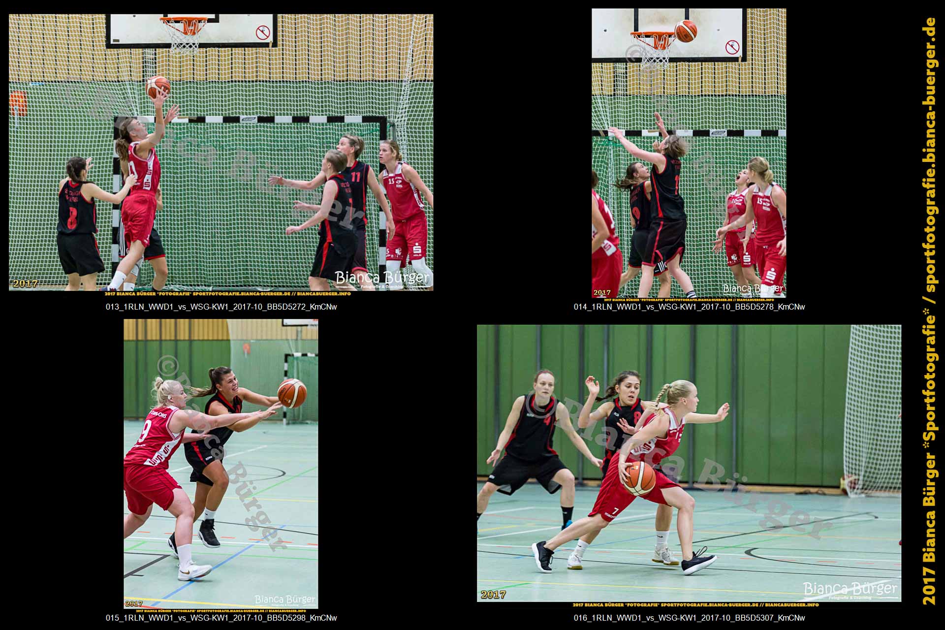 1. RLN Weddinger Wiesel 1 vs WSG Königs Wusterhausen 1 (Basketball)