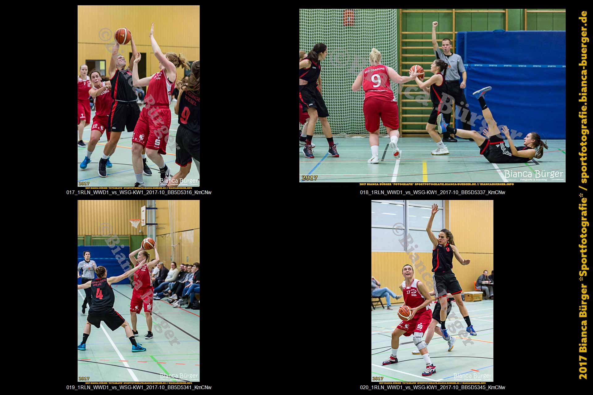1. RLN Weddinger Wiesel 1 vs WSG Königs Wusterhausen 1 (Basketball)