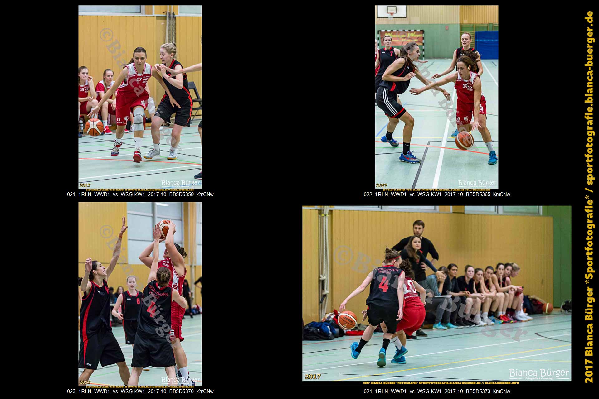 1. RLN Weddinger Wiesel 1 vs WSG Königs Wusterhausen 1 (Basketball)