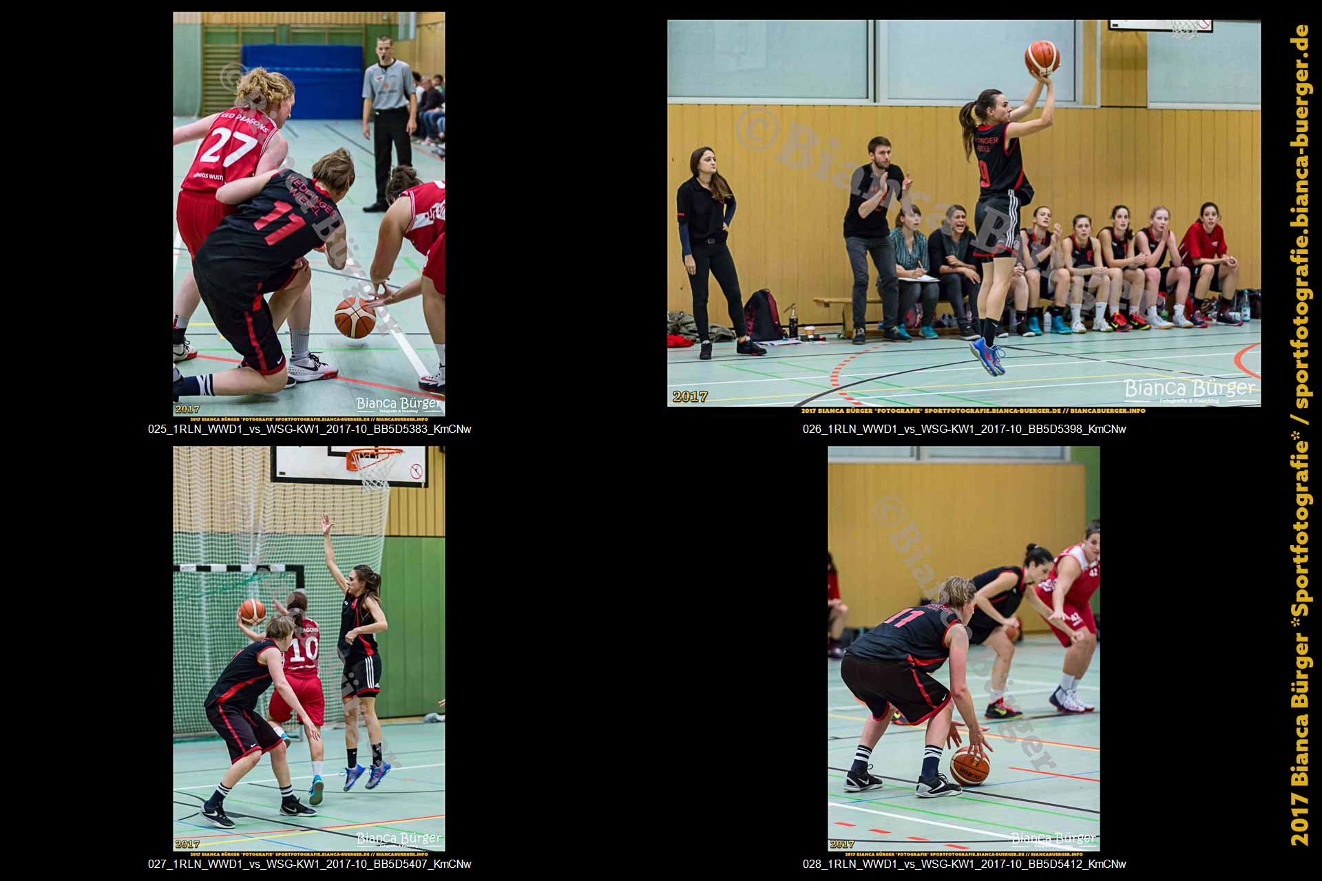 1. RLN Weddinger Wiesel 1 vs WSG Königs Wusterhausen 1 (Basketball)