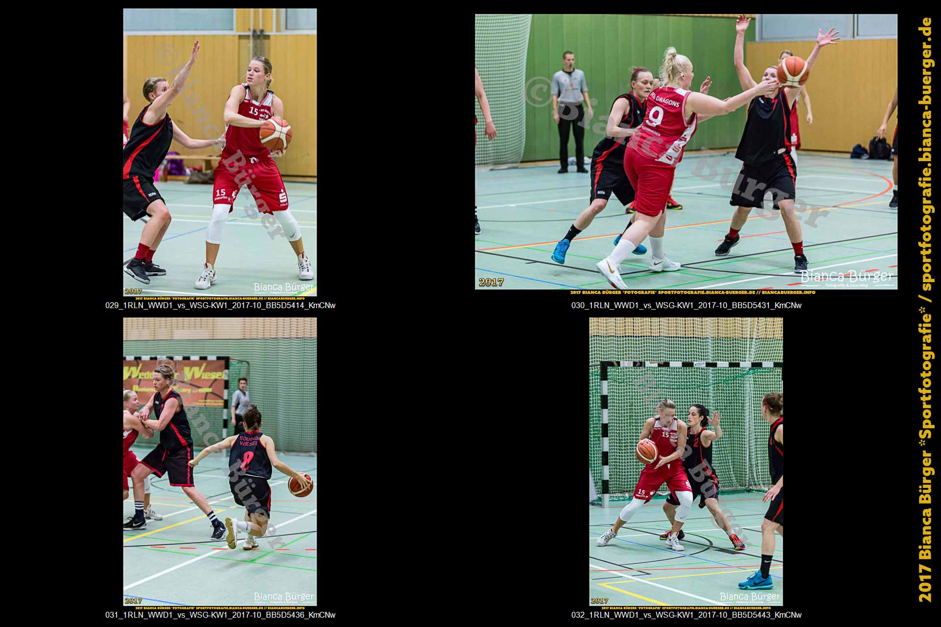 1. RLN Weddinger Wiesel 1 vs WSG Königs Wusterhausen 1 (Basketball)