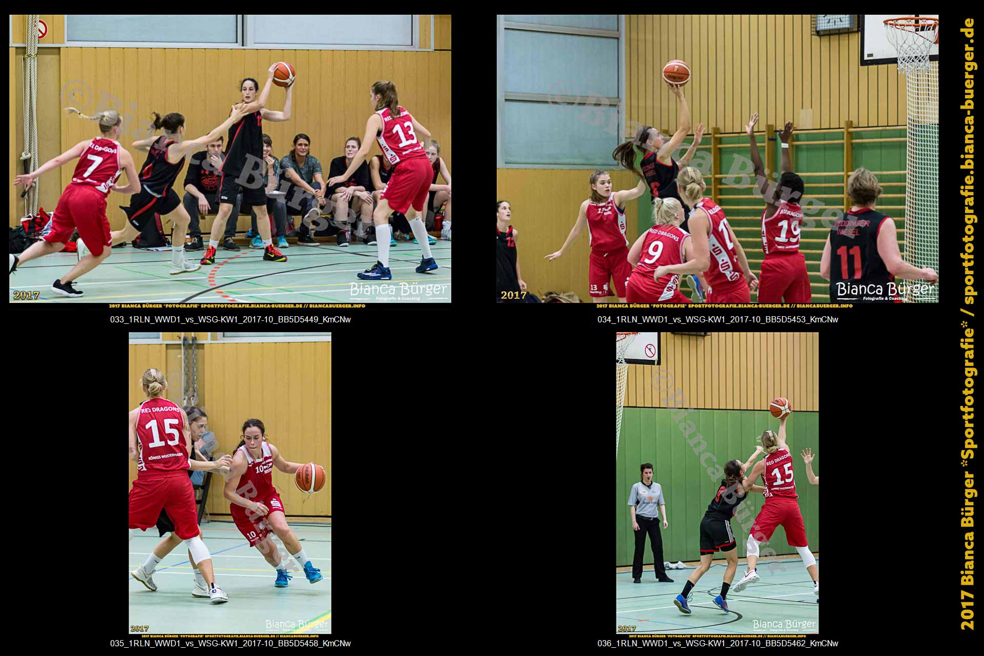 1. RLN Weddinger Wiesel 1 vs WSG Königs Wusterhausen 1 (Basketball)