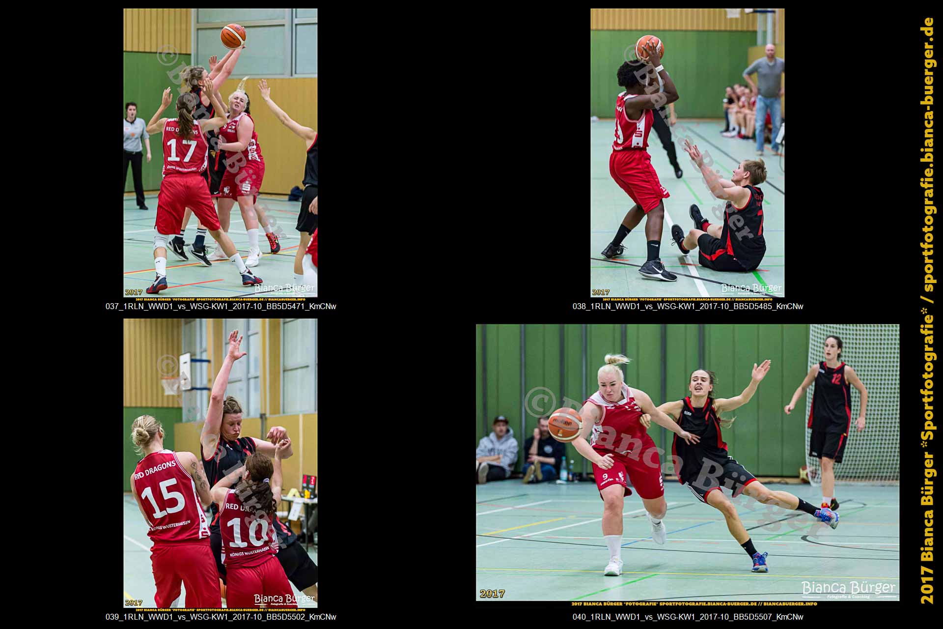 1. RLN Weddinger Wiesel 1 vs WSG Königs Wusterhausen 1 (Basketball)