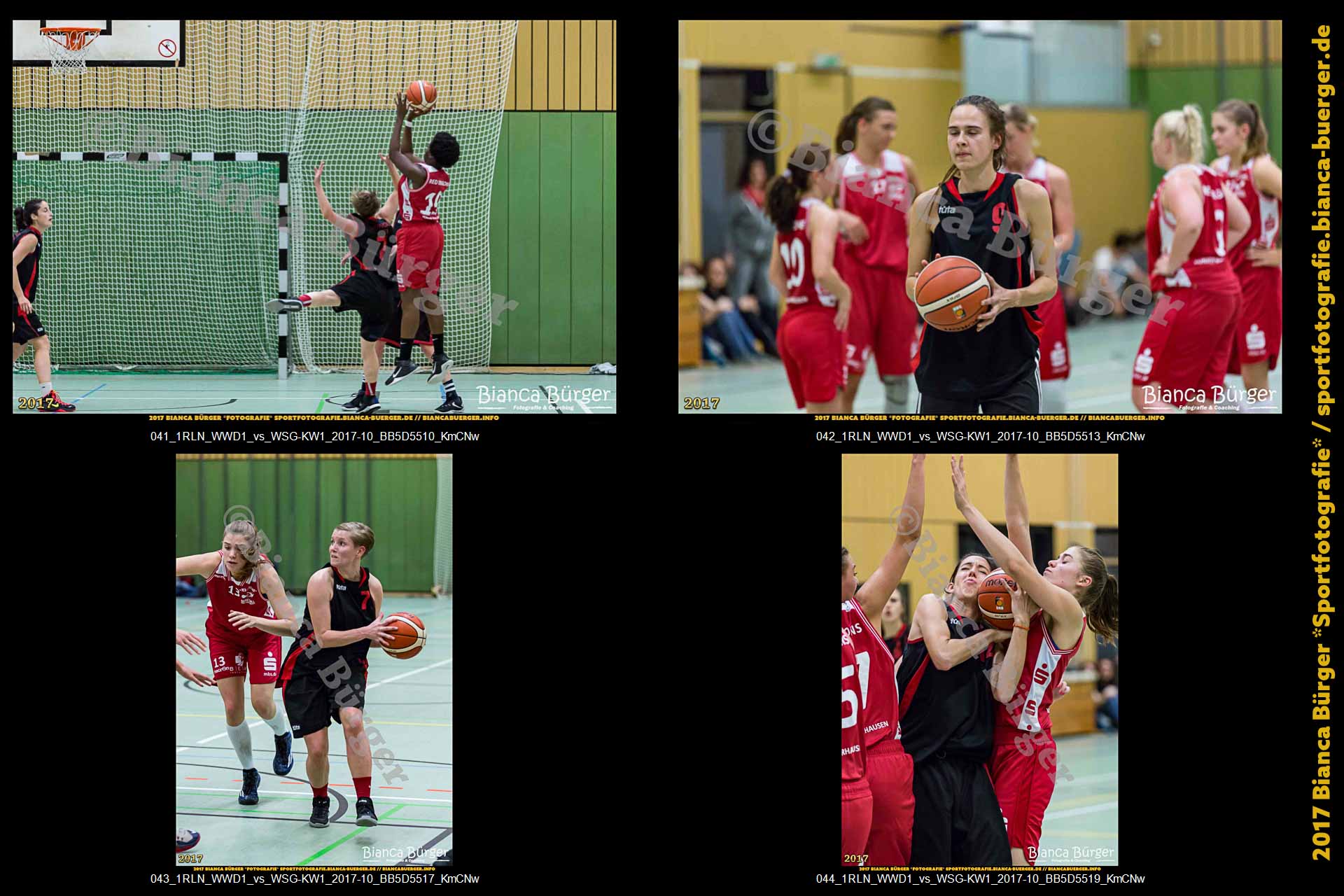1. RLN Weddinger Wiesel 1 vs WSG Königs Wusterhausen 1 (Basketball)