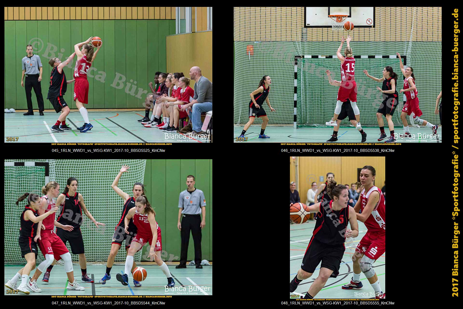 1. RLN Weddinger Wiesel 1 vs WSG Königs Wusterhausen 1 (Basketball)