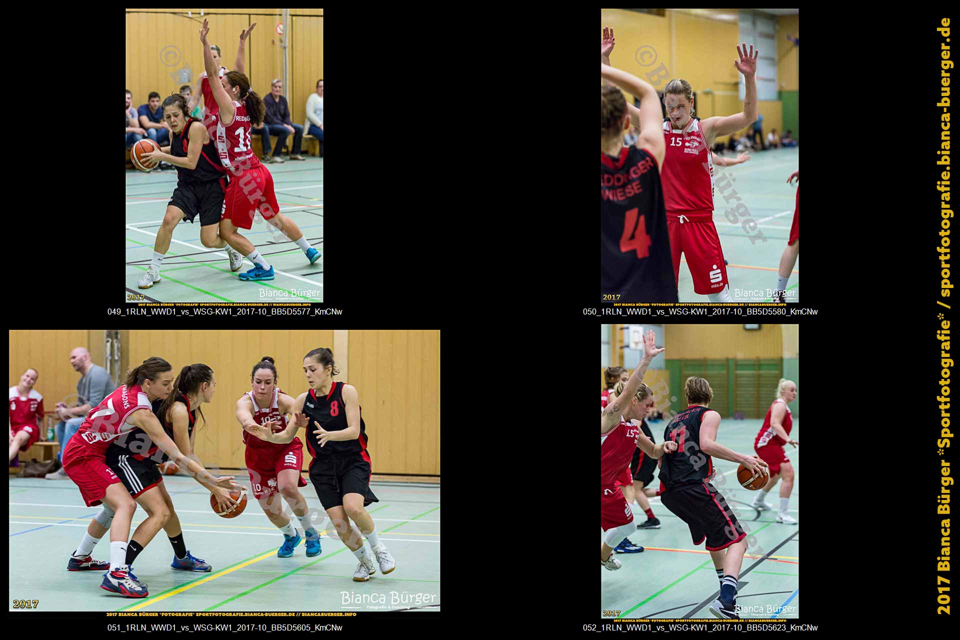1. RLN Weddinger Wiesel 1 vs WSG Königs Wusterhausen 1 (Basketball)
