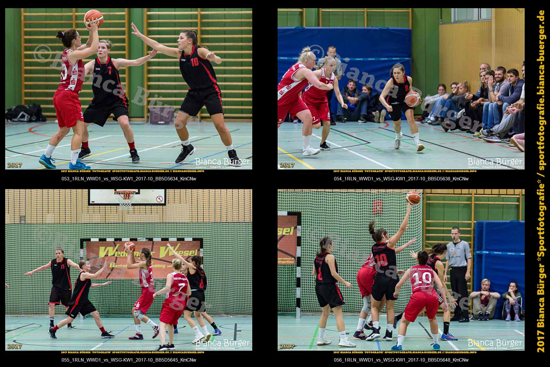 1. RLN Weddinger Wiesel 1 vs WSG Königs Wusterhausen 1 (Basketball)
