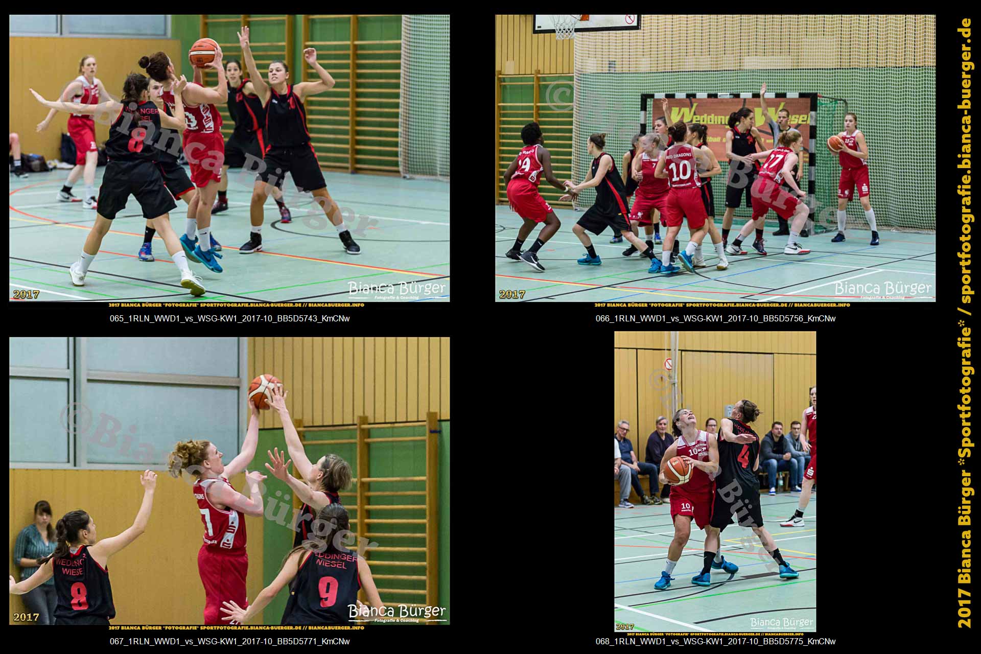 1. RLN Weddinger Wiesel 1 vs WSG Königs Wusterhausen 1 (Basketball)