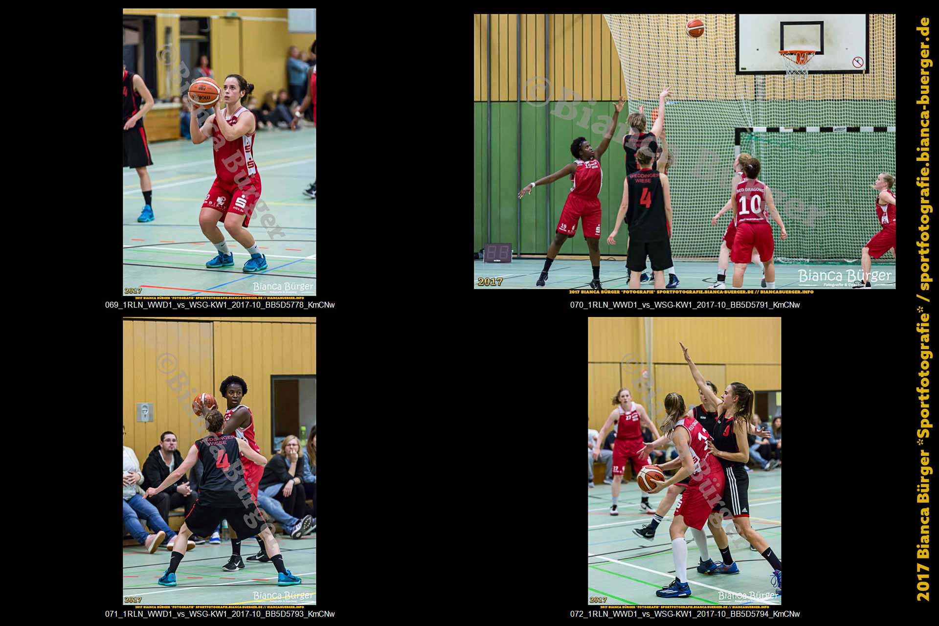 1. RLN Weddinger Wiesel 1 vs WSG Königs Wusterhausen 1 (Basketball)