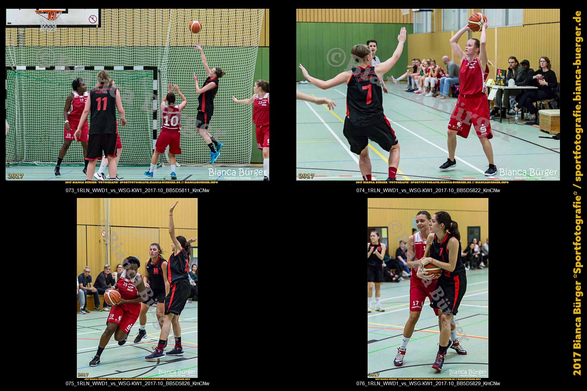 1. RLN Weddinger Wiesel 1 vs WSG Königs Wusterhausen 1 (Basketball)