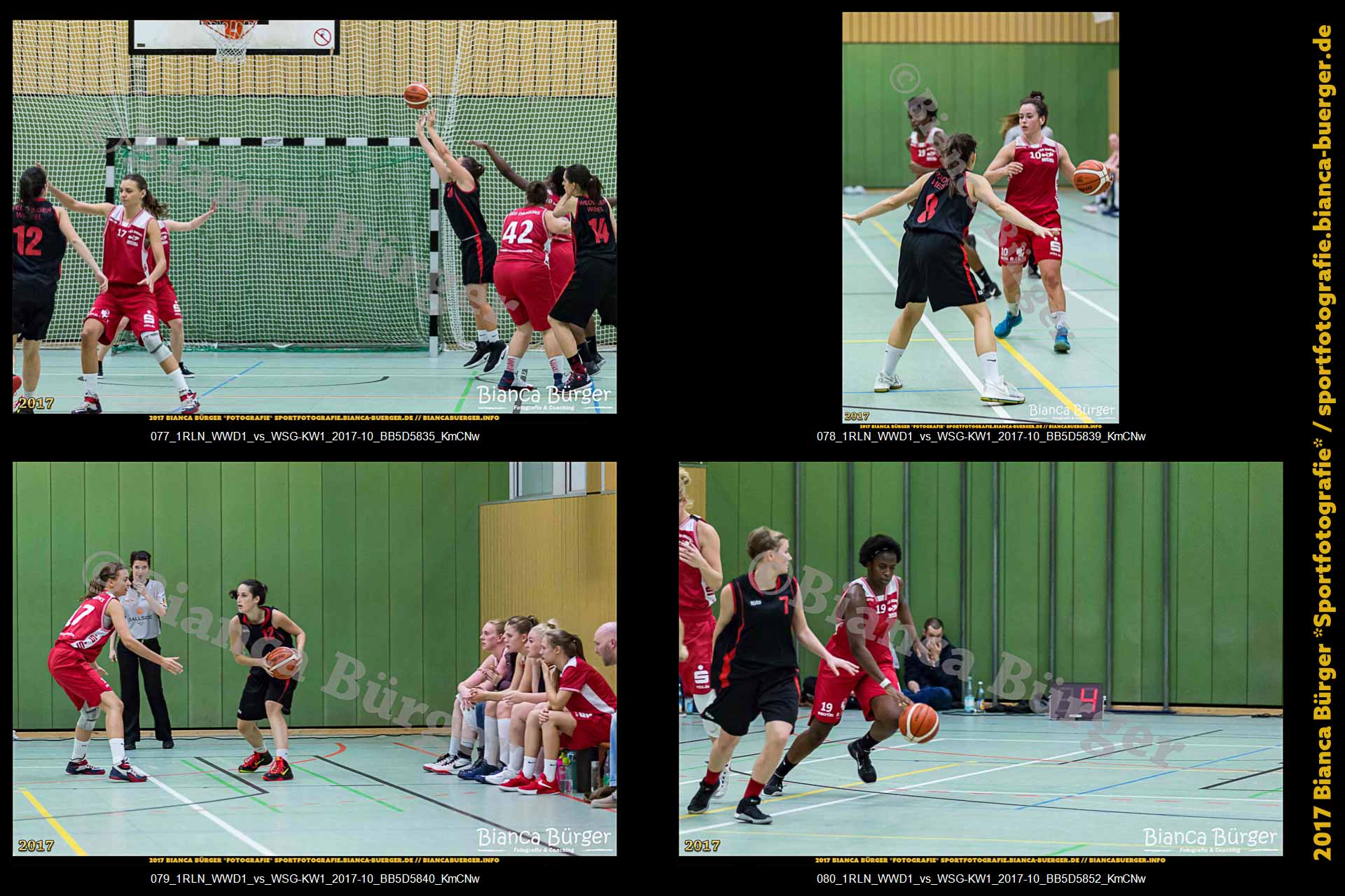 1. RLN Weddinger Wiesel 1 vs WSG Königs Wusterhausen 1 (Basketball)