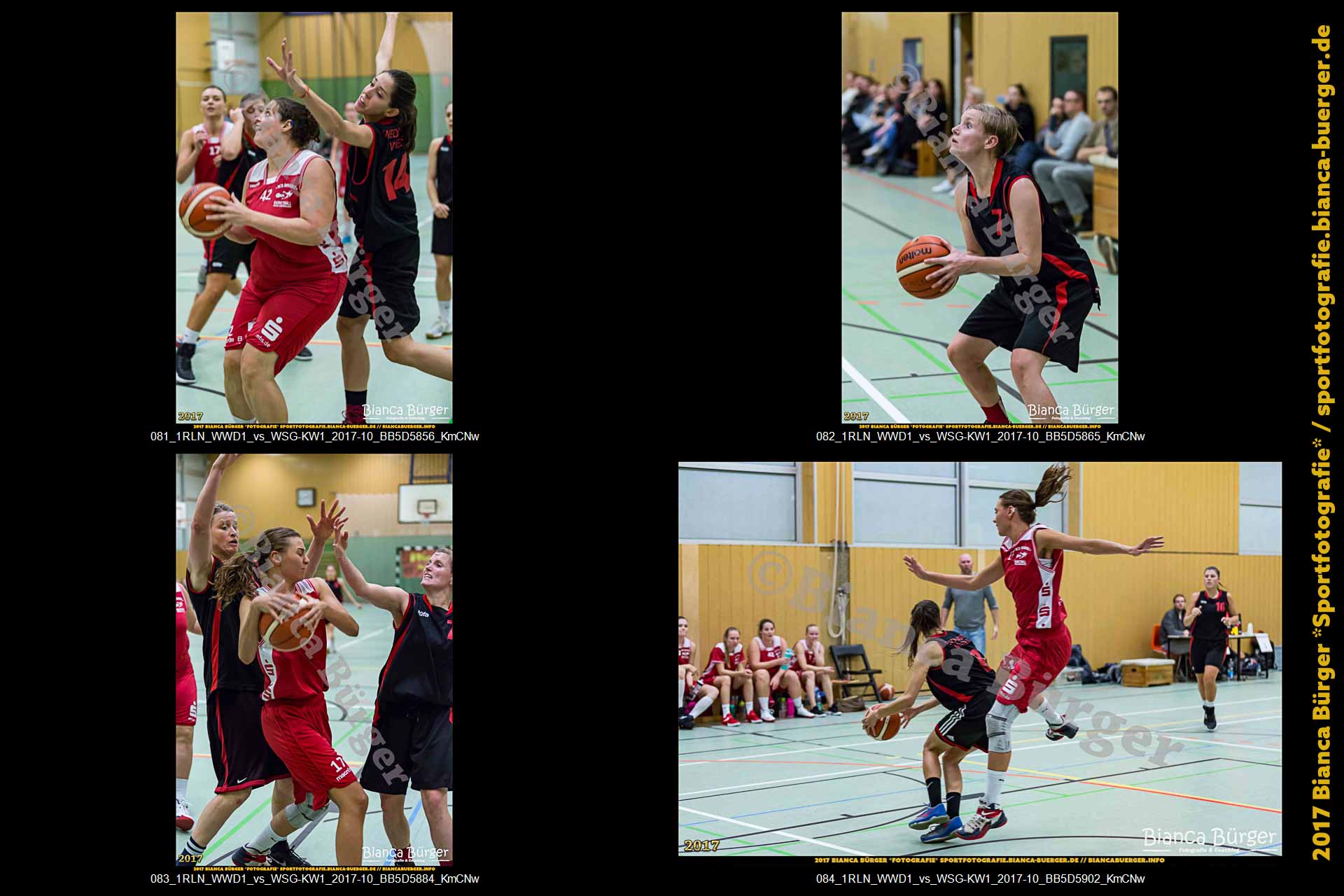 1. RLN Weddinger Wiesel 1 vs WSG Königs Wusterhausen 1 (Basketball)