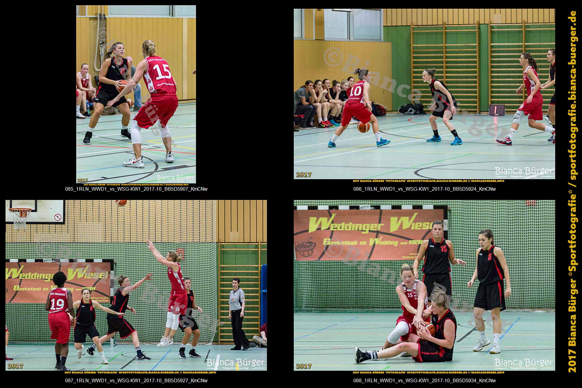 1. RLN Weddinger Wiesel 1 vs WSG Königs Wusterhausen 1 (Basketball)