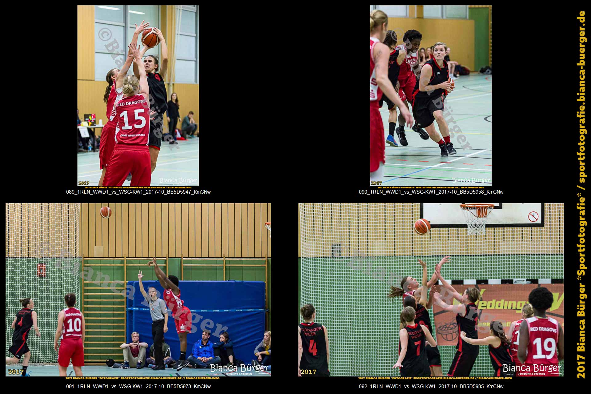1. RLN Weddinger Wiesel 1 vs WSG Königs Wusterhausen 1 (Basketball)